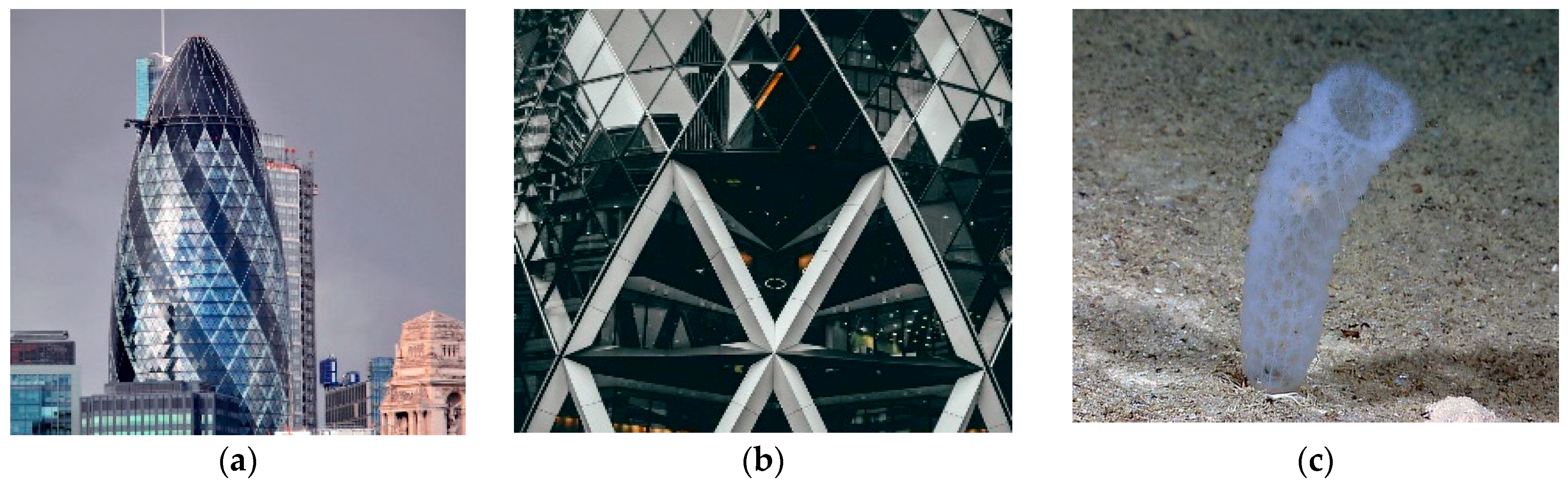 Biomimetics 10 00124 g006