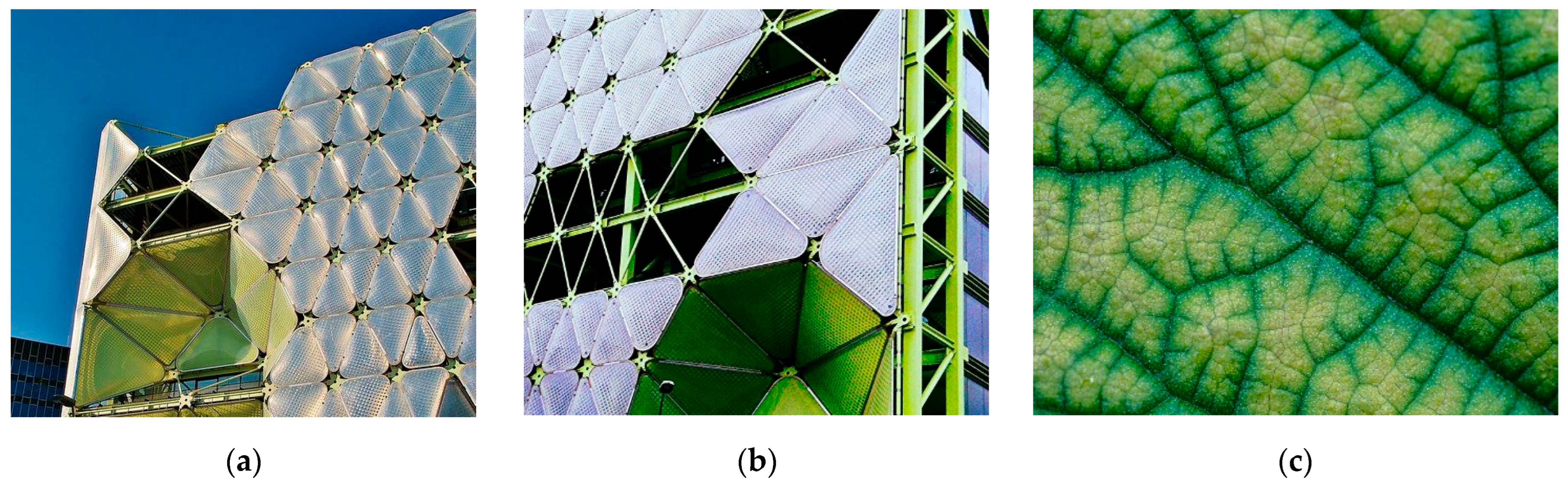 Biomimetics 10 00124 g007