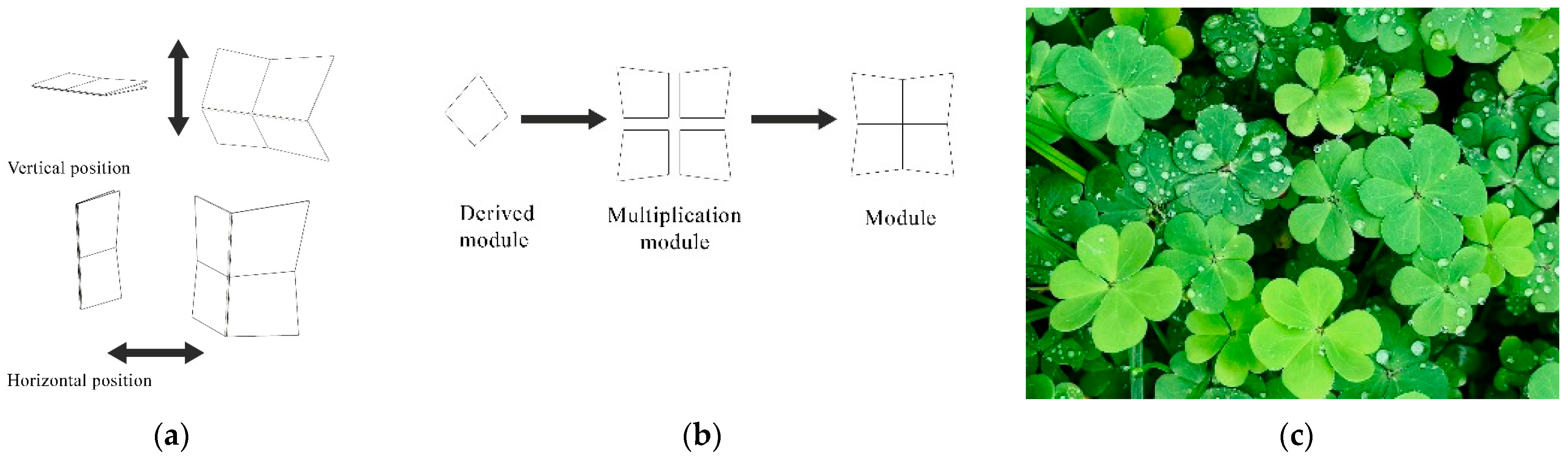 Biomimetics 10 00124 g008