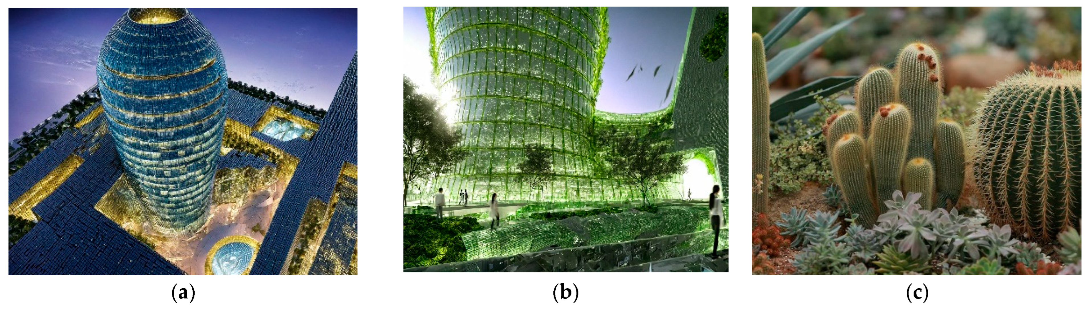 Biomimetics 10 00124 g009