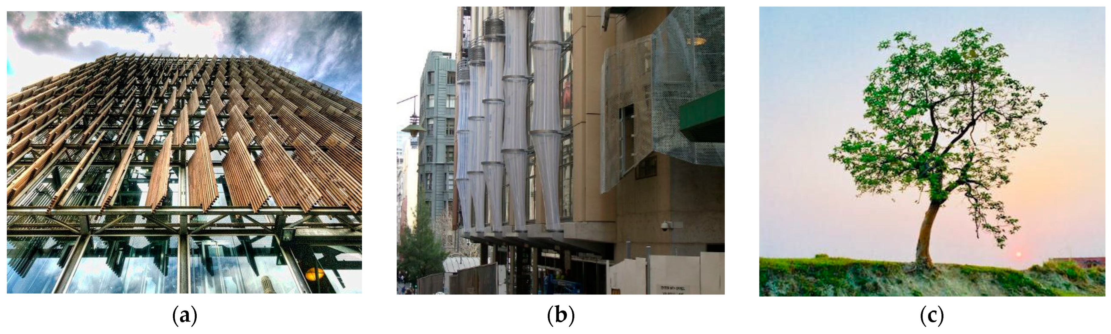 Biomimetics 10 00124 g011