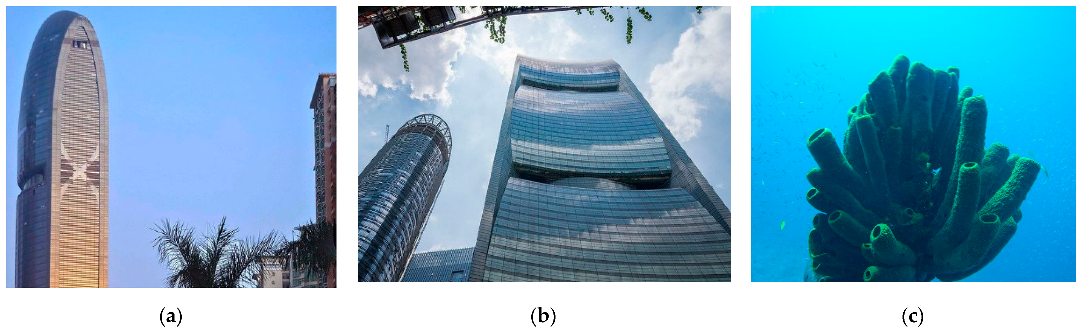 Biomimetics 10 00124 g013