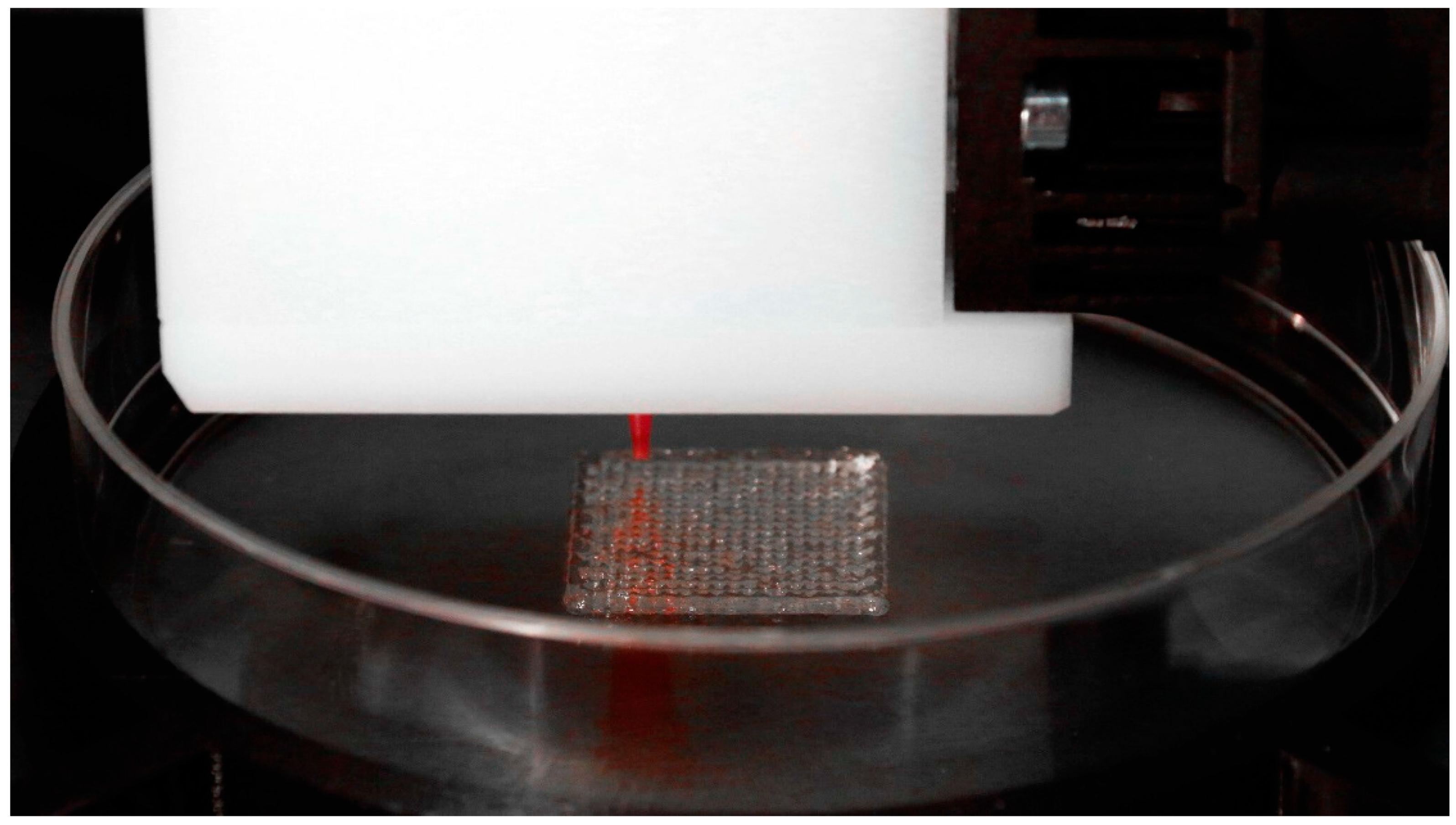 Biomimetics 10 00125 g001