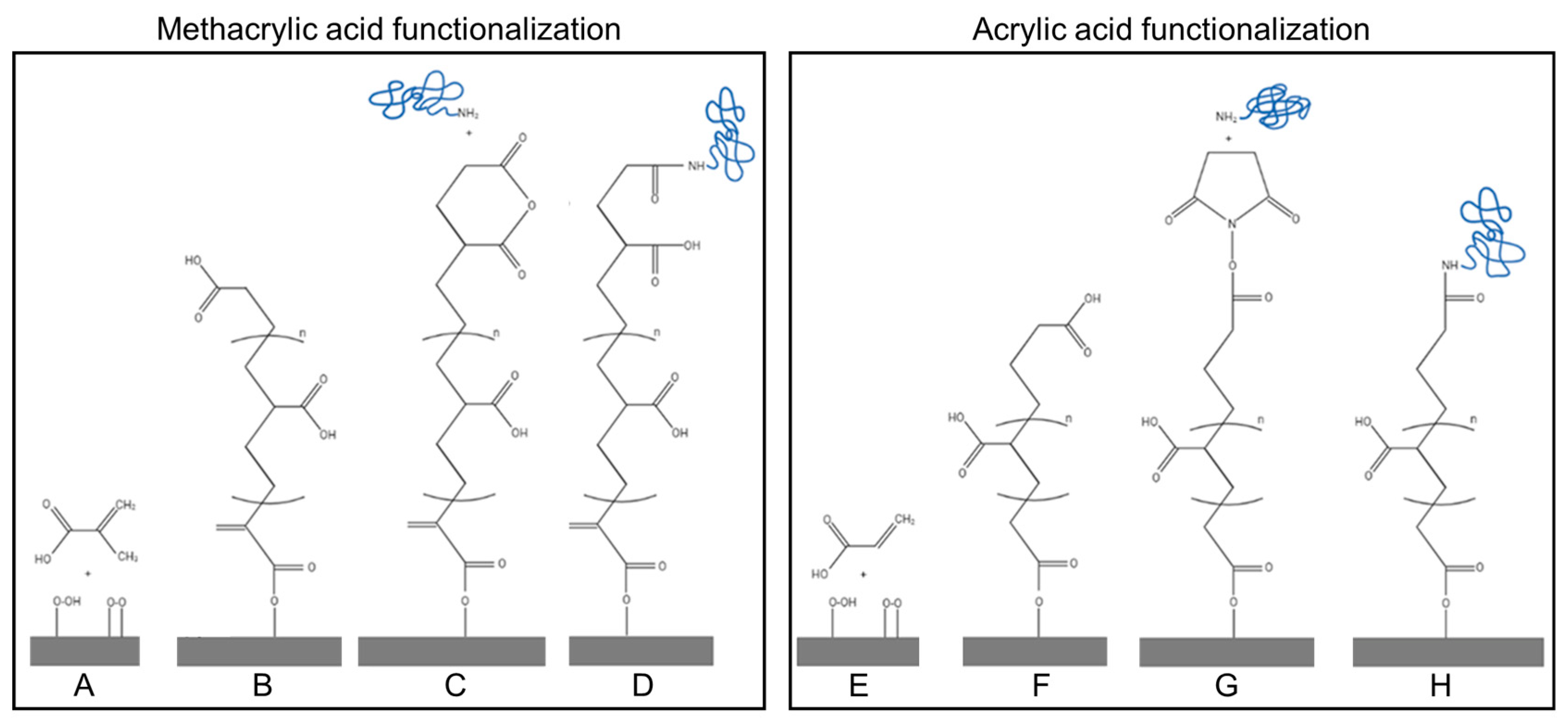 Biomimetics 10 00126 g001 Biomimetics 10 00126 g001