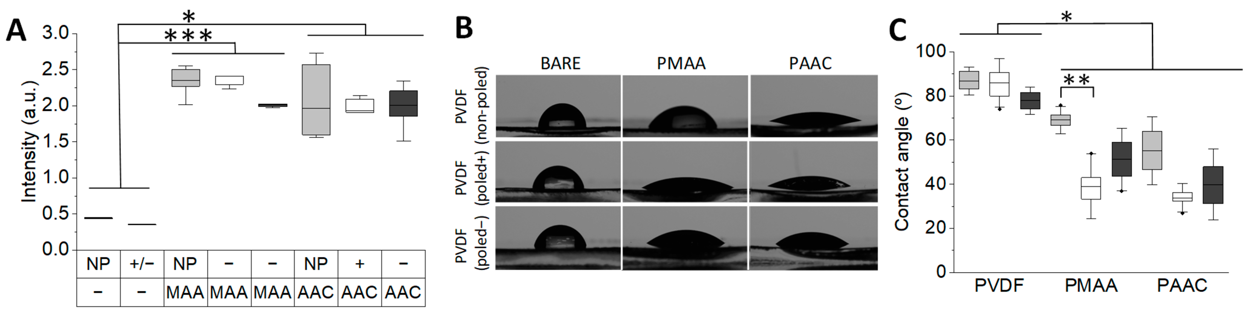 Biomimetics 10 00126 g002 Biomimetics 10 00126 g002