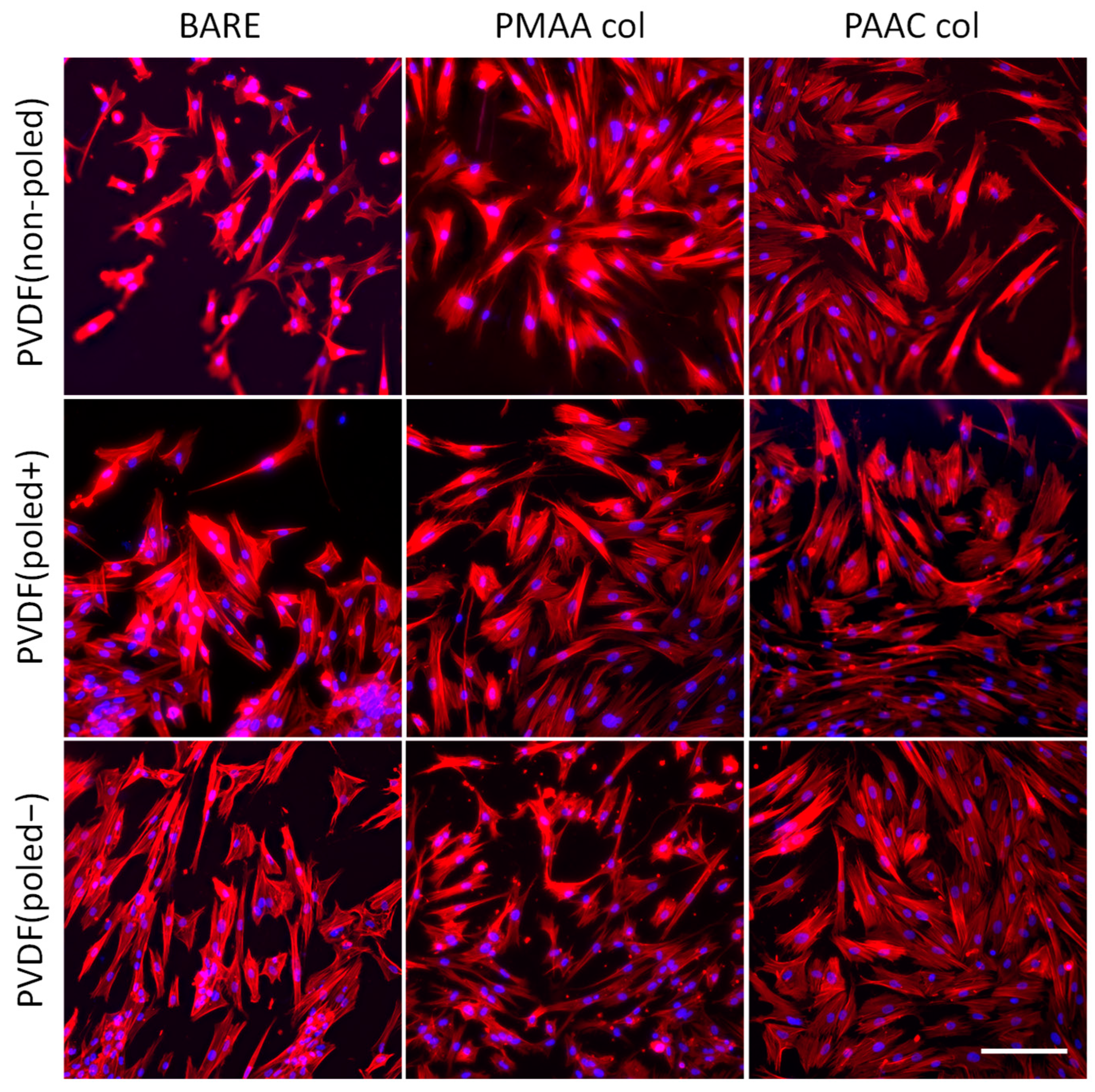 Biomimetics 10 00126 g005 Biomimetics 10 00126 g005