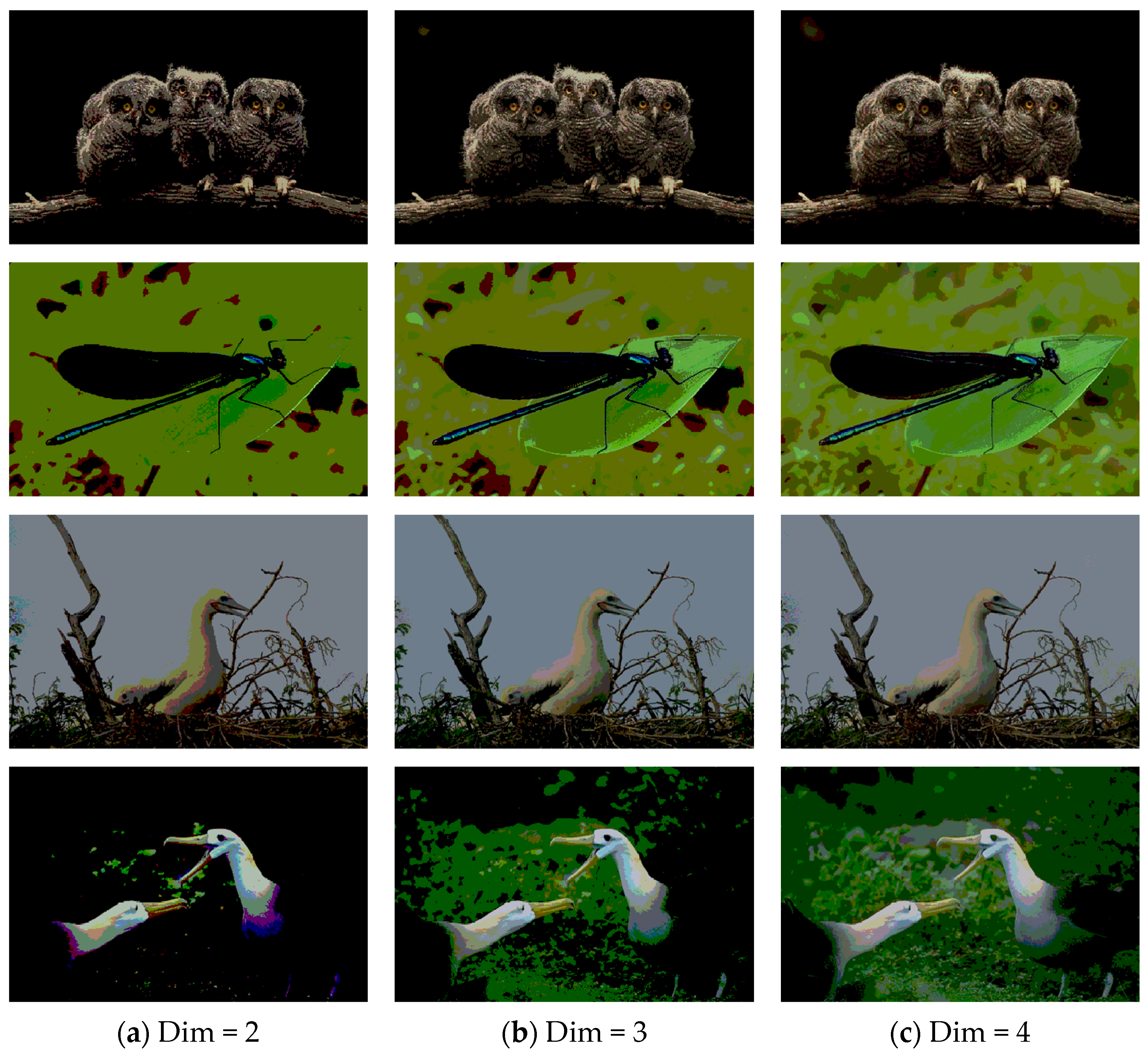 Biomimetics 10 00127 g003