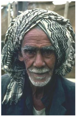 Biomimetics 10 00127 i016