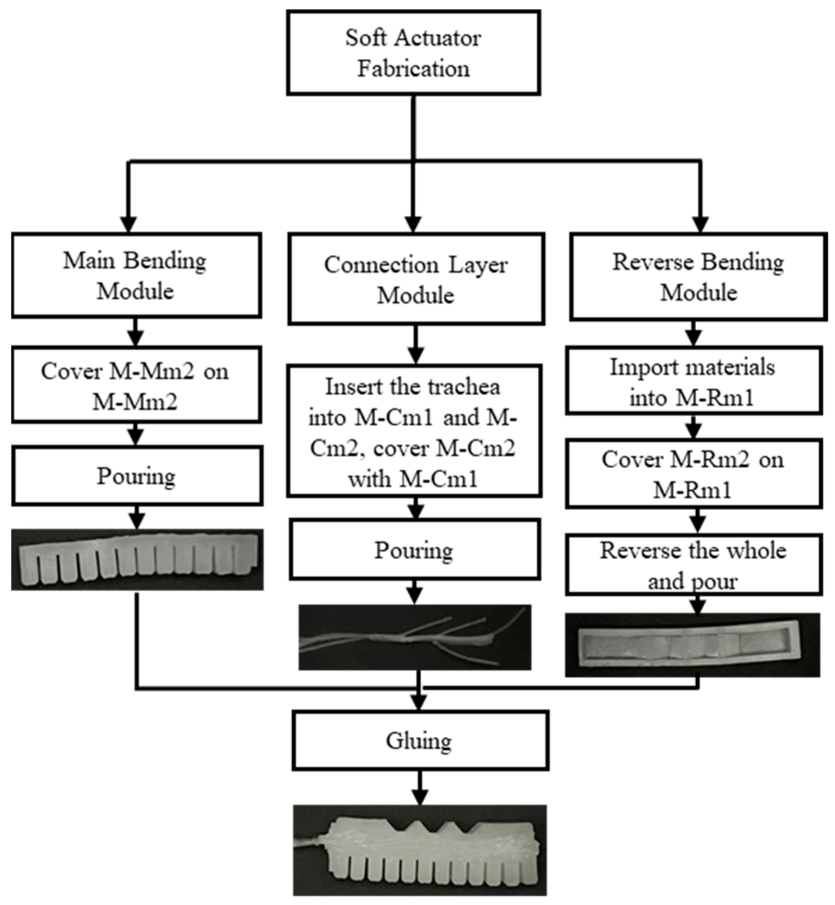 Biomimetics 10 00129 g006