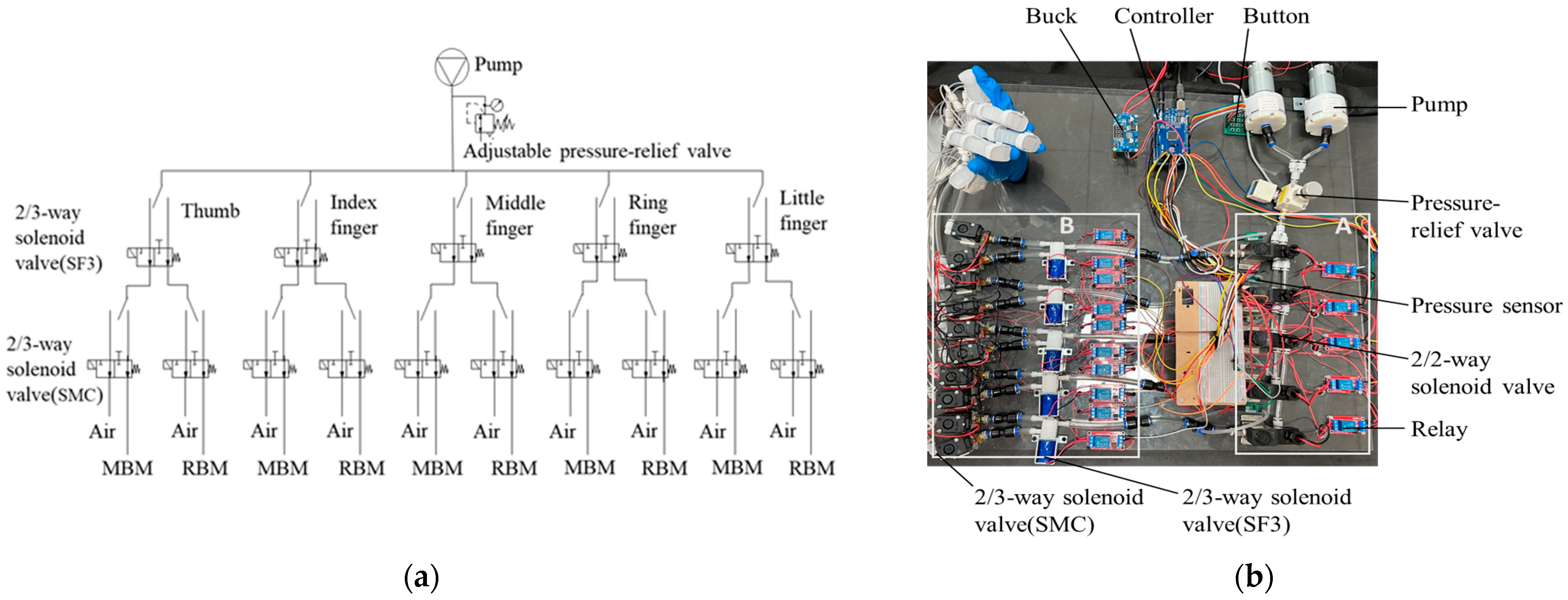 Biomimetics 10 00129 g007