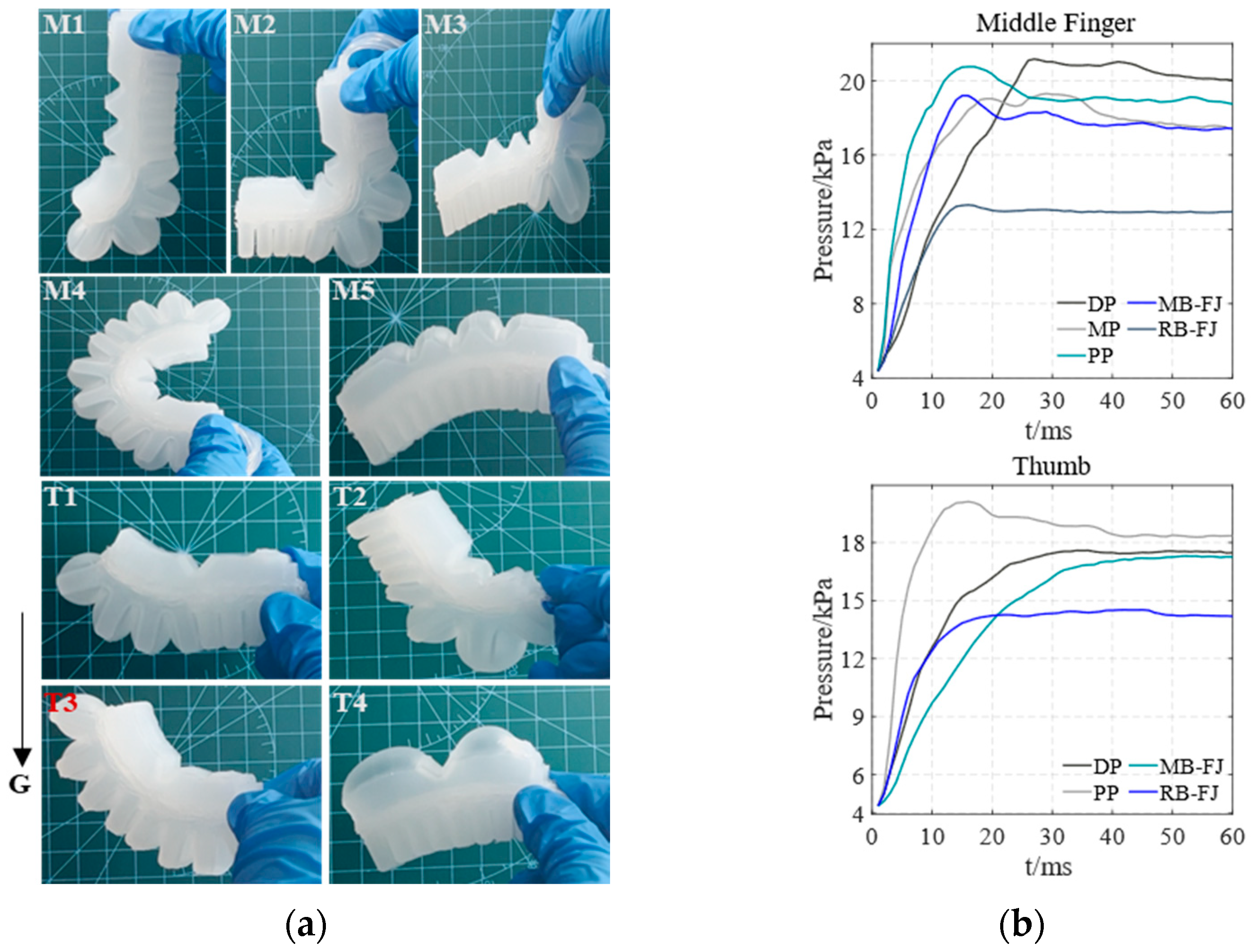 Biomimetics 10 00129 g009