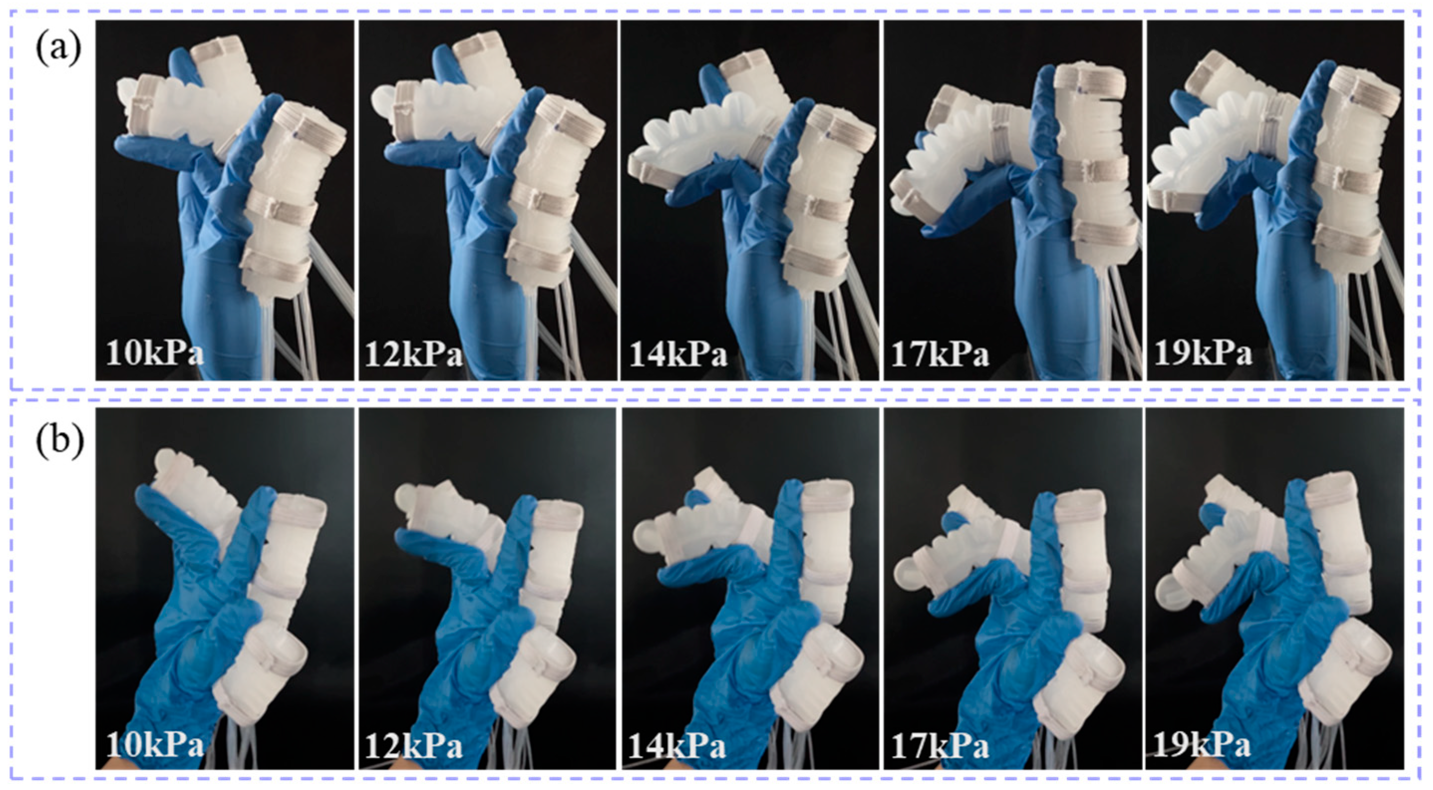 Biomimetics 10 00129 g019