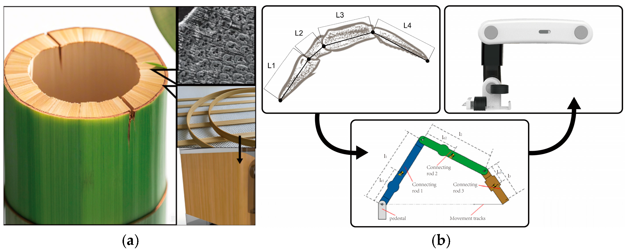 Biomimetics 10 00134 g008 Biomimetics 10 00134 g008