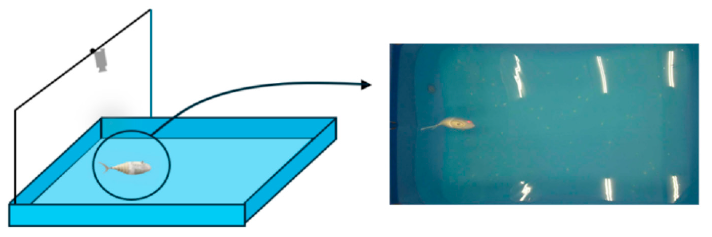Biomimetics 10 00136 g008