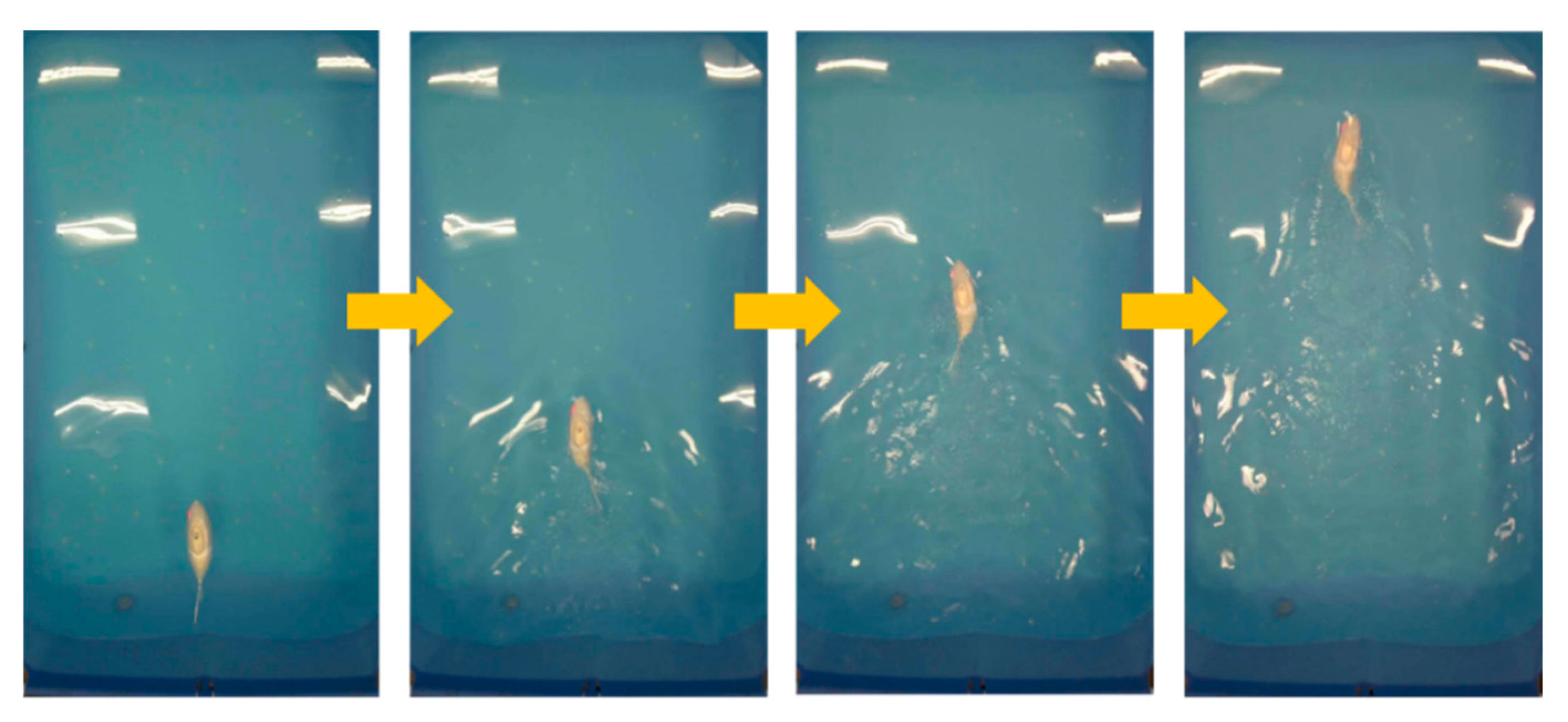 Biomimetics 10 00136 g009