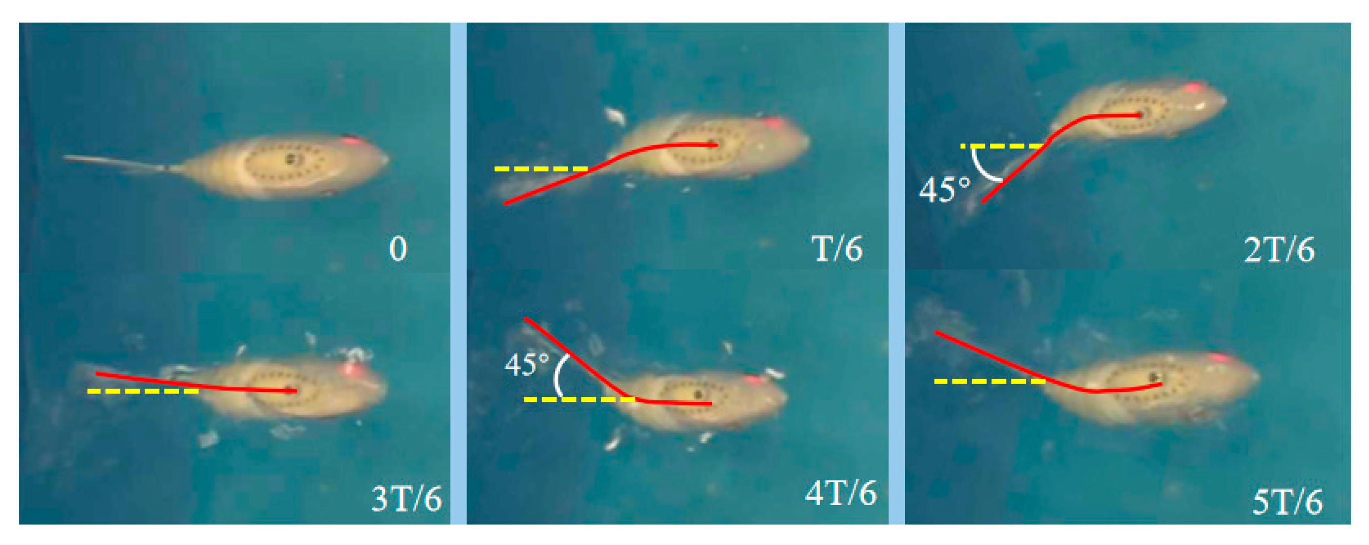 Biomimetics 10 00136 g012