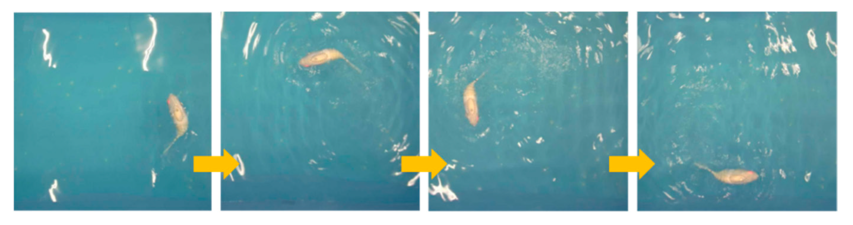 Biomimetics 10 00136 g014