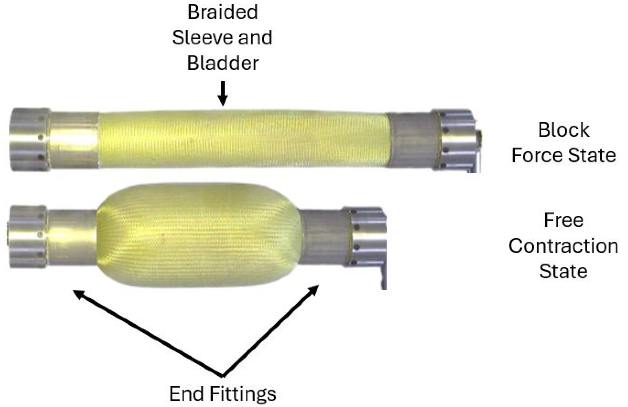 Biomimetics 10 00139 g004