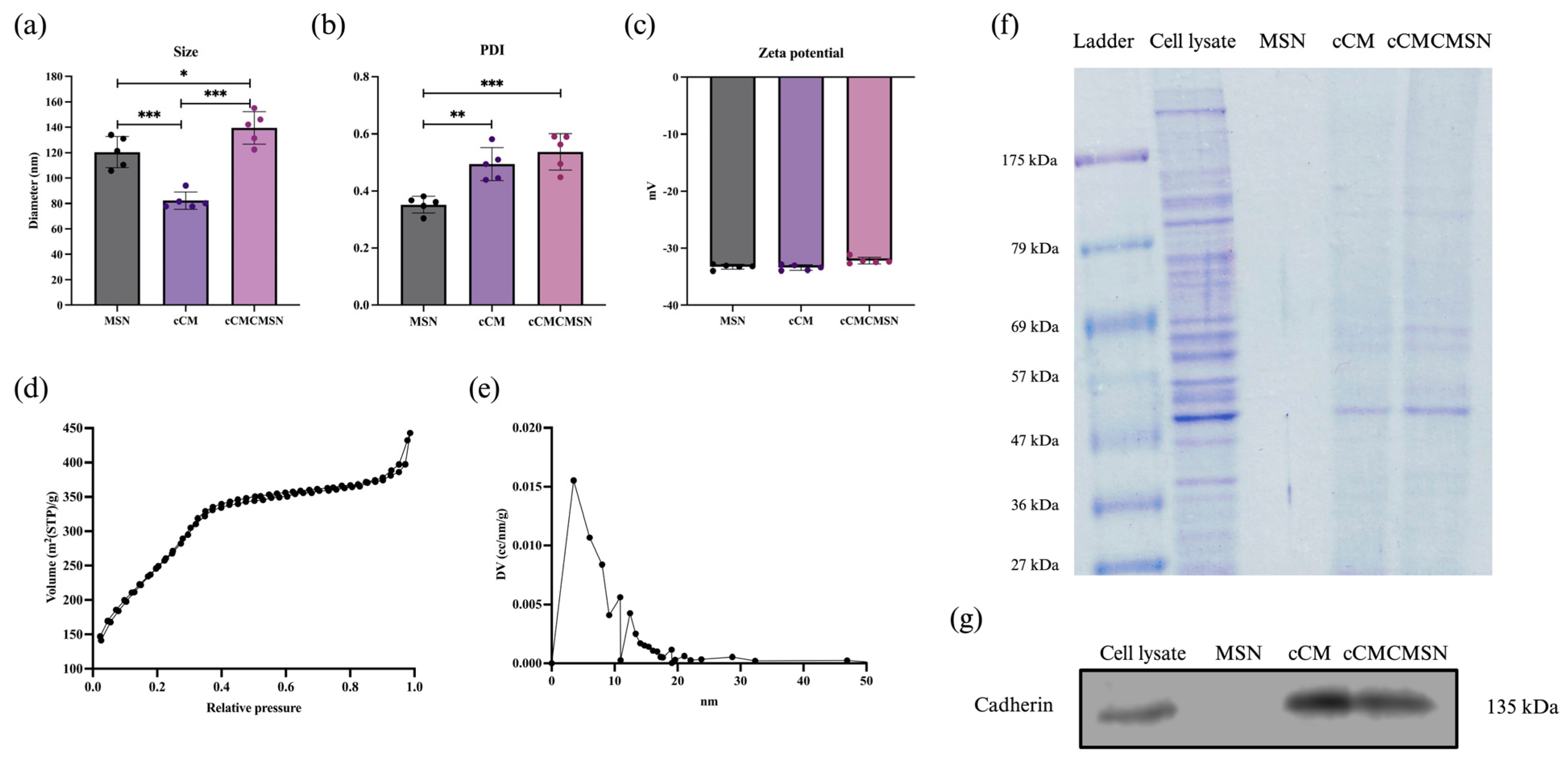 Biomimetics 10 00141 g001