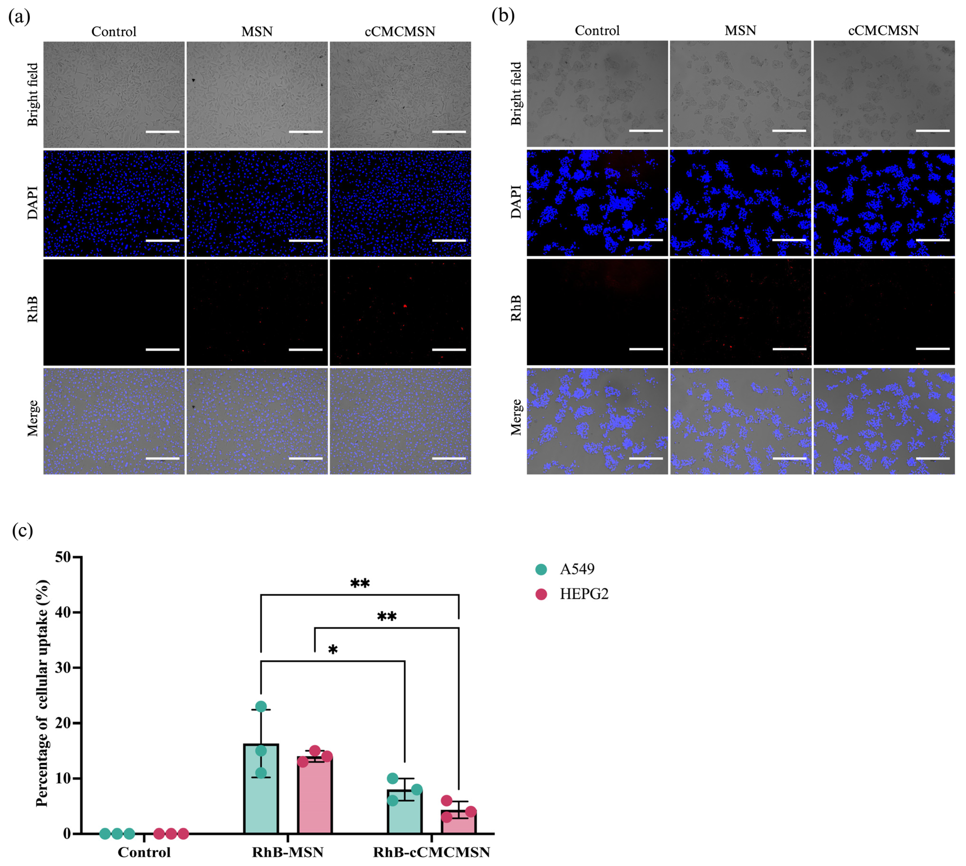Biomimetics 10 00141 g006