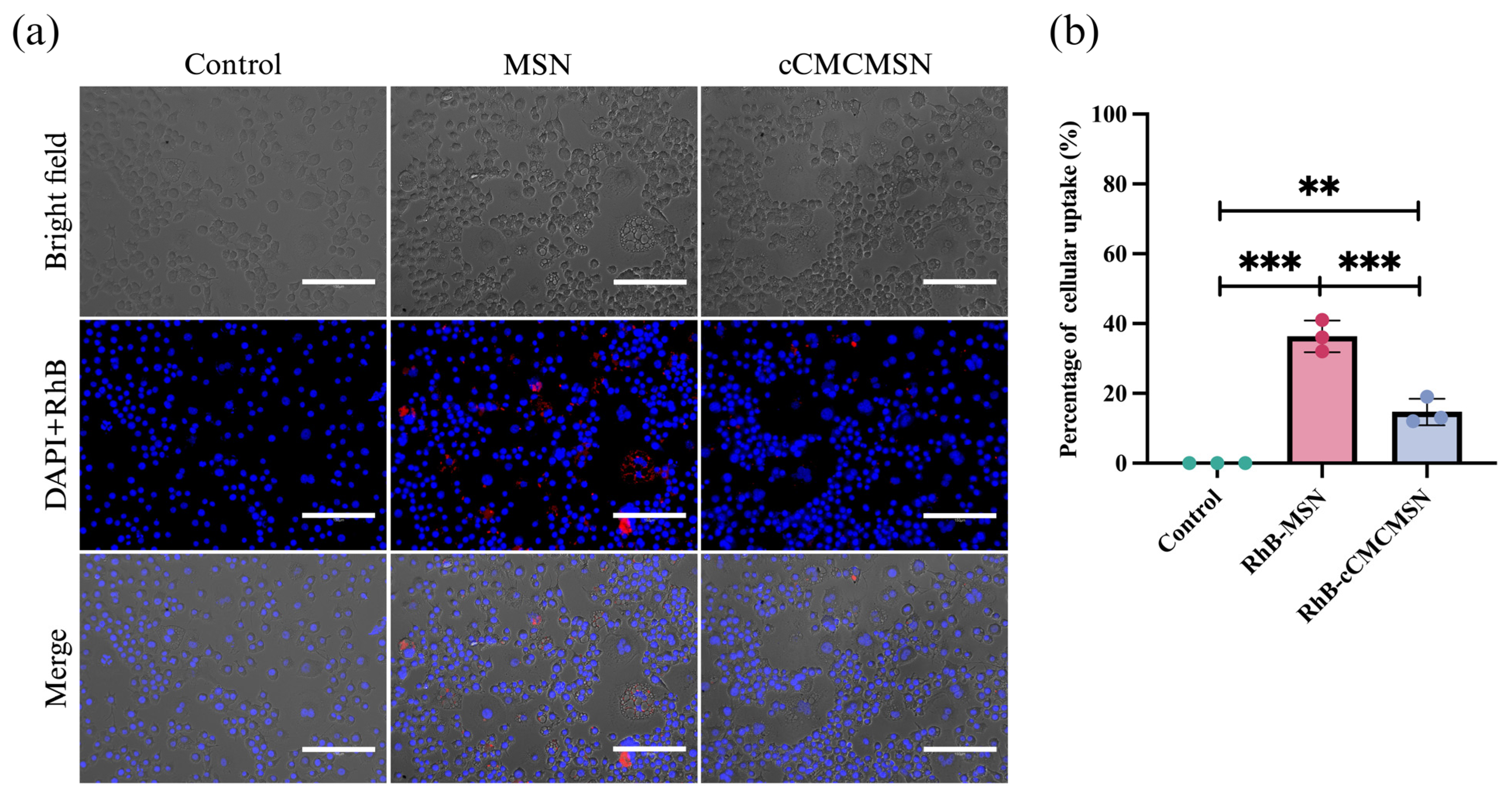 Biomimetics 10 00141 g007
