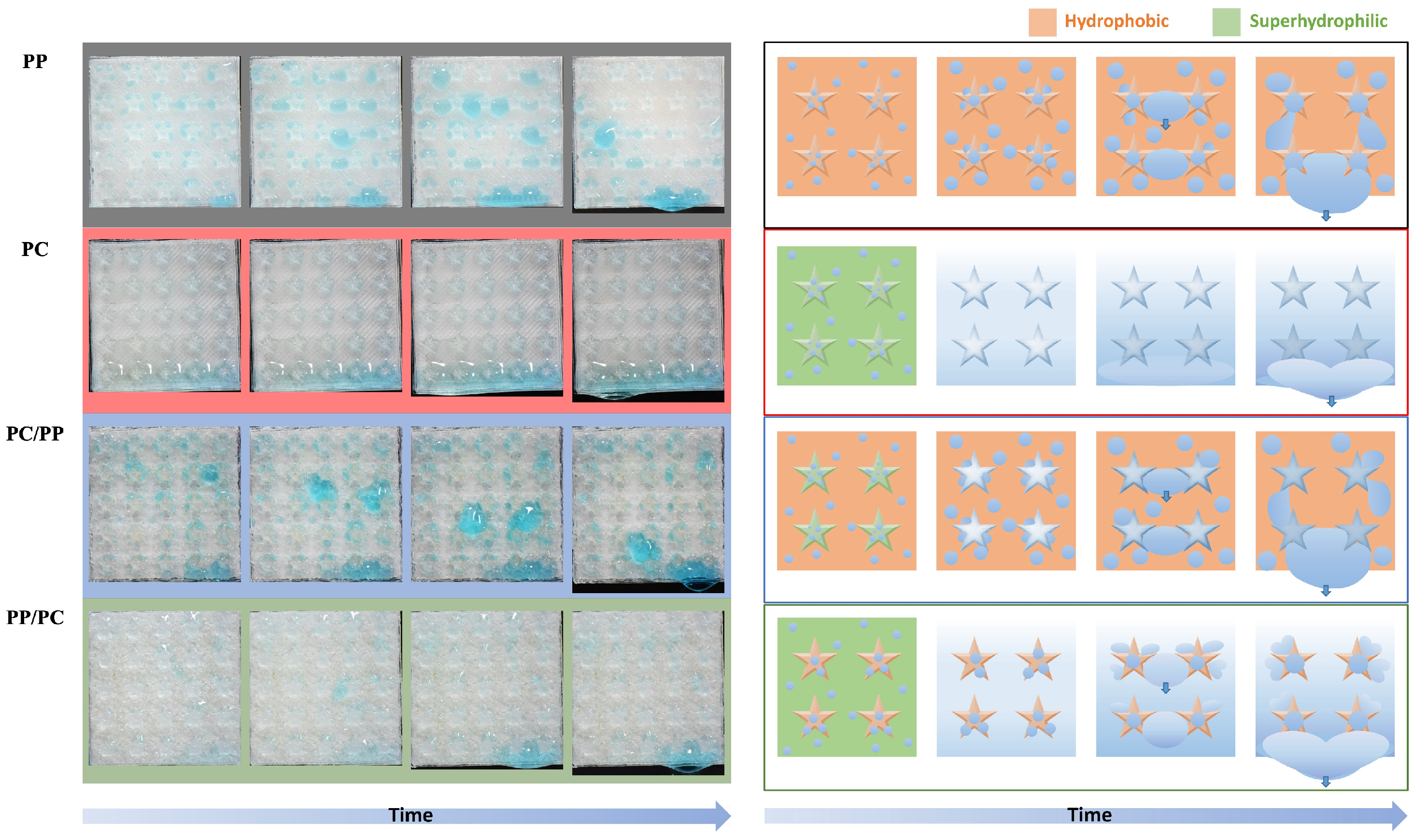 Biomimetics 10 00143 g014