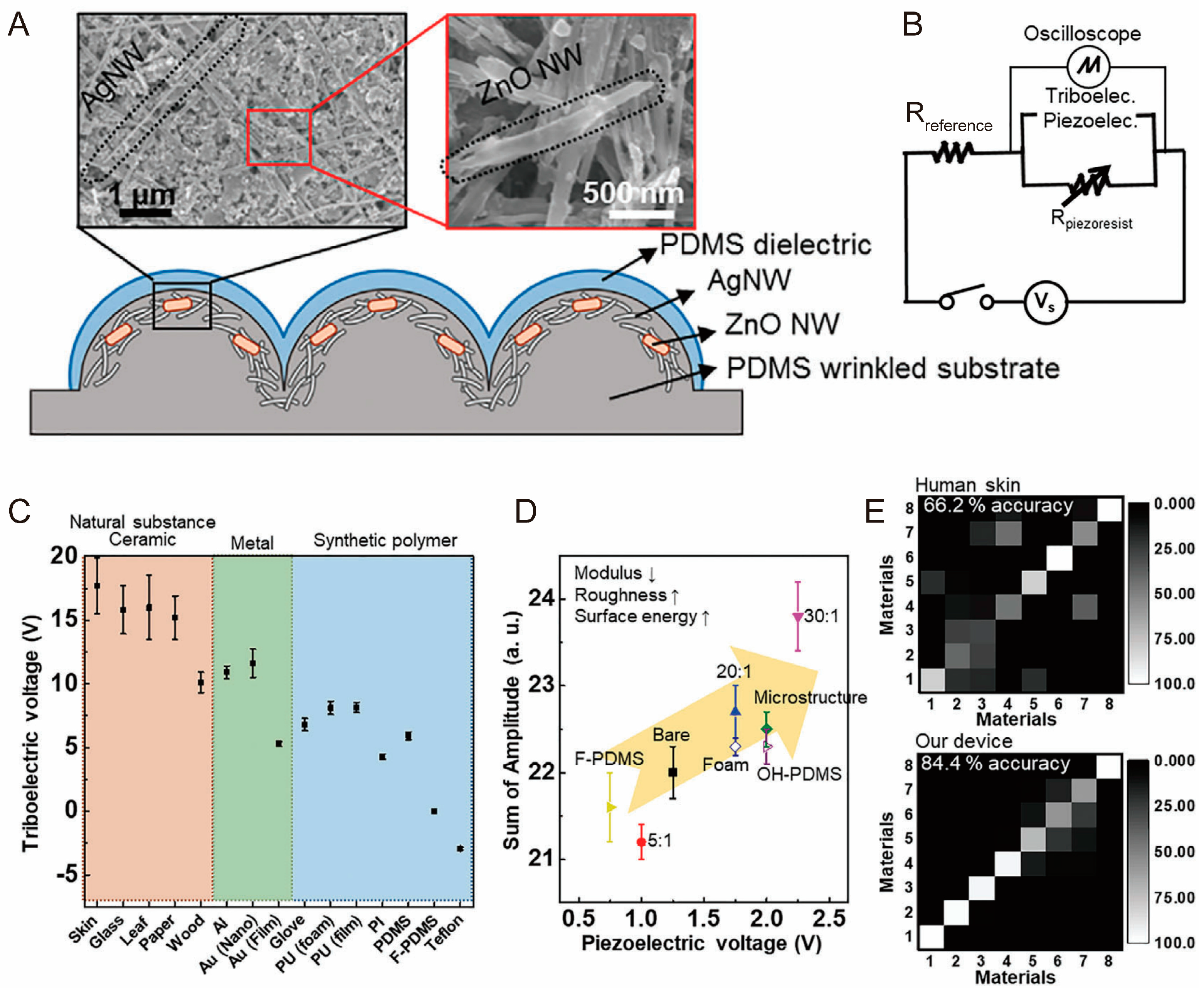 Biomimetics 10 00147 g010