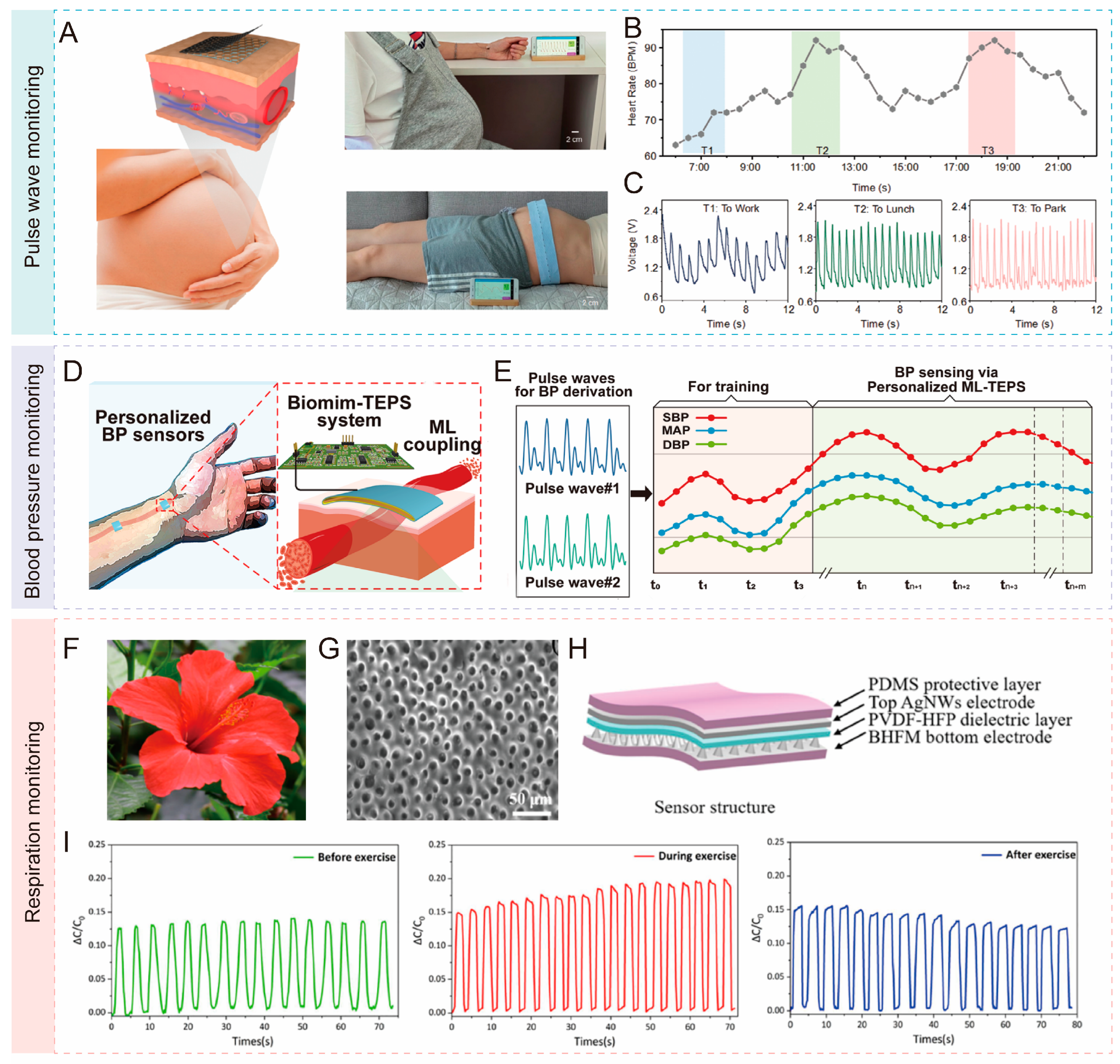 Biomimetics 10 00147 g012