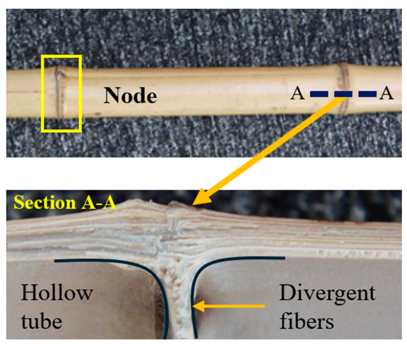 Biomimetics 10 00150 g003