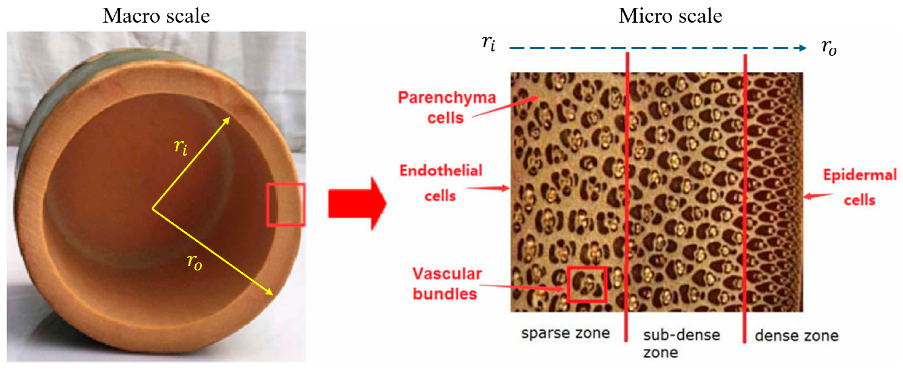 Biomimetics 10 00150 g004