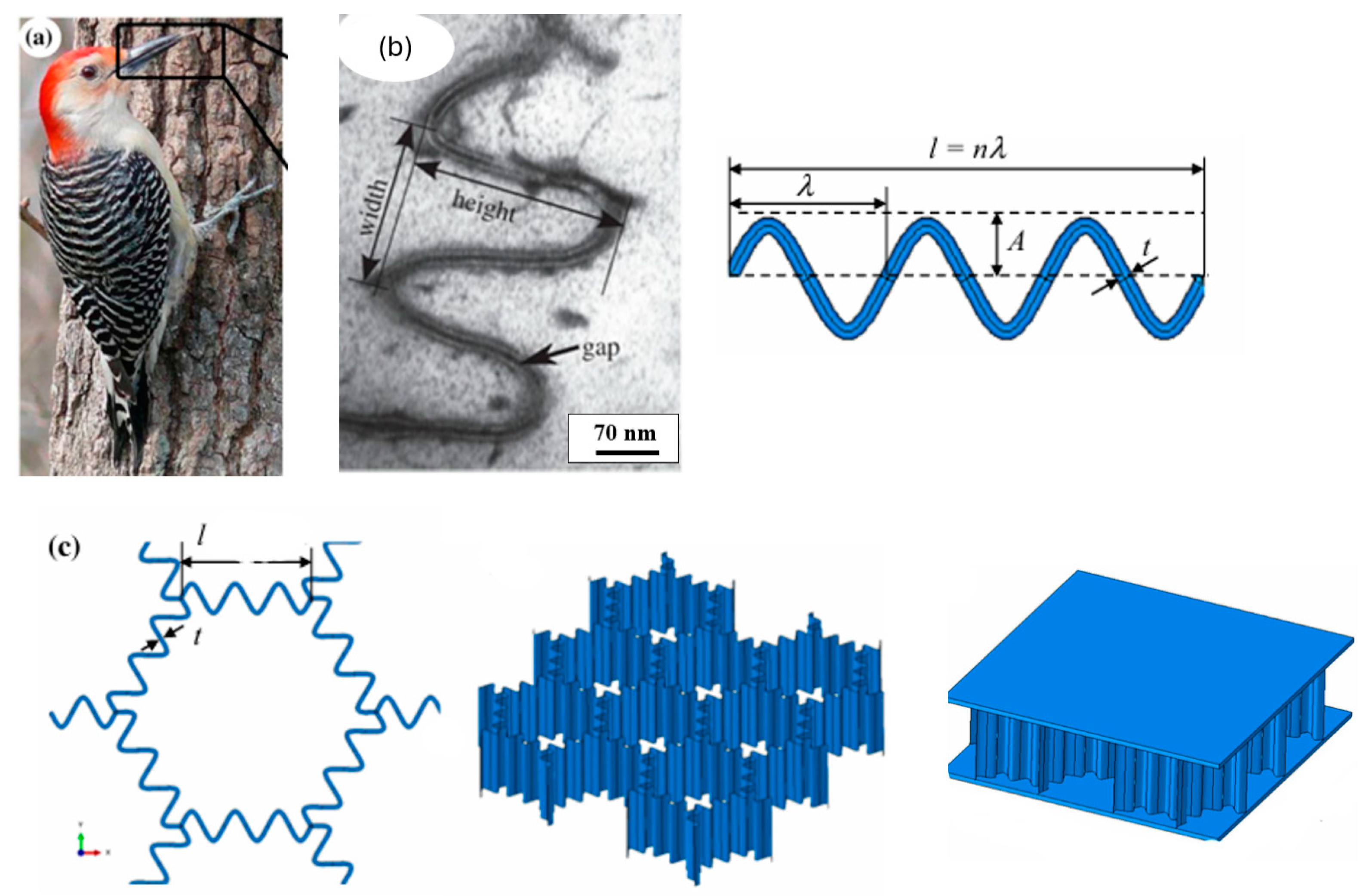Biomimetics 10 00150 g017