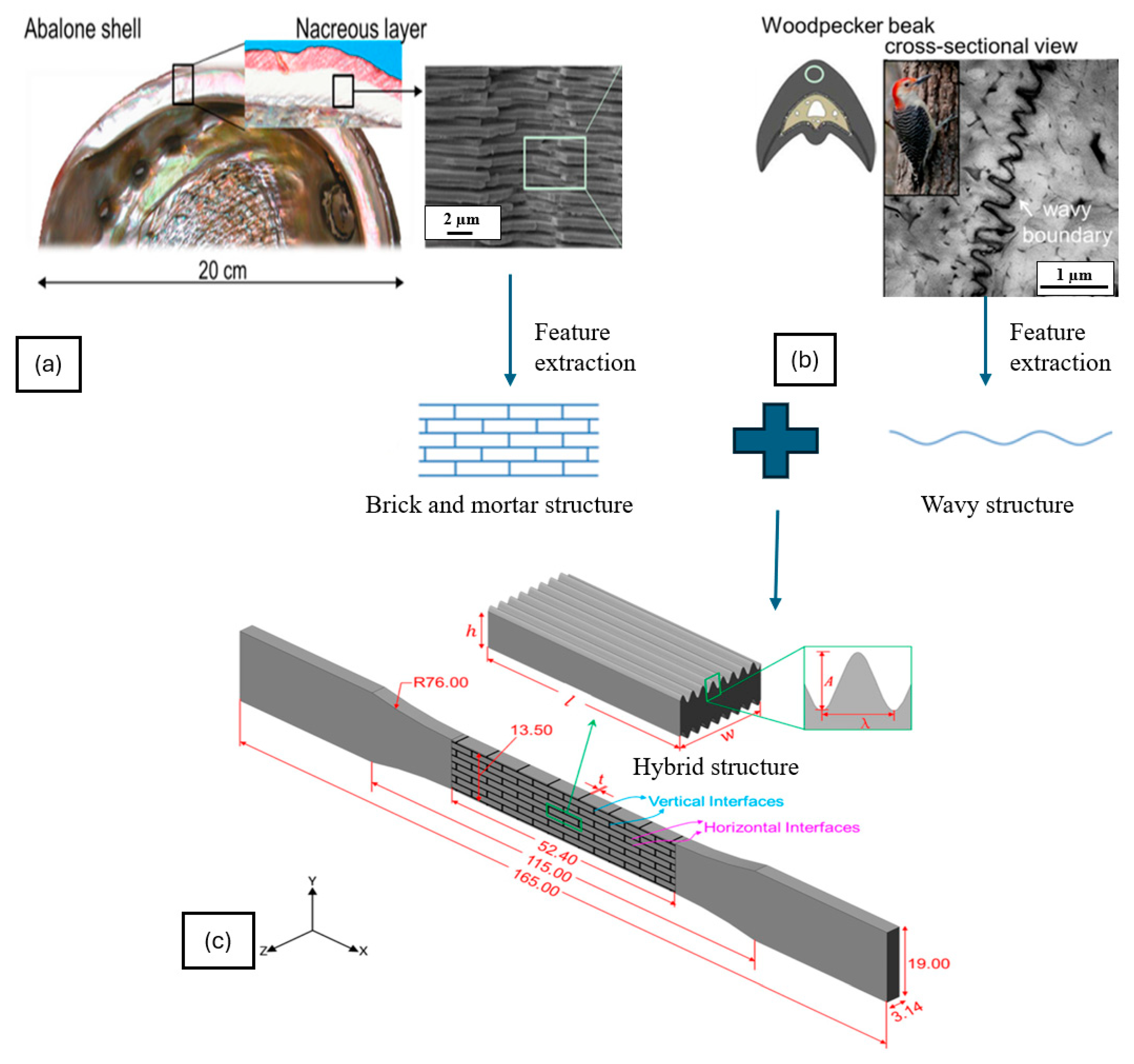 Biomimetics 10 00150 g019