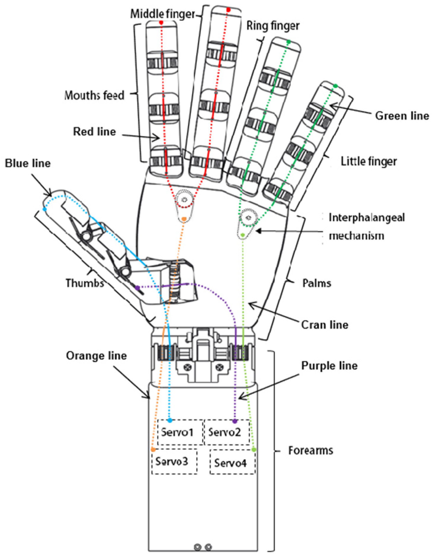 Biomimetics 10 00155 g002