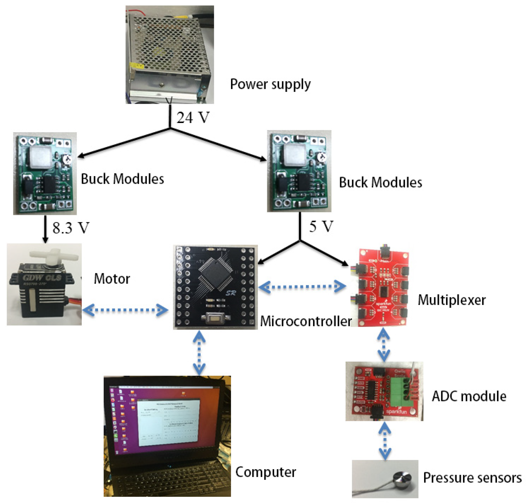 Biomimetics 10 00155 g010