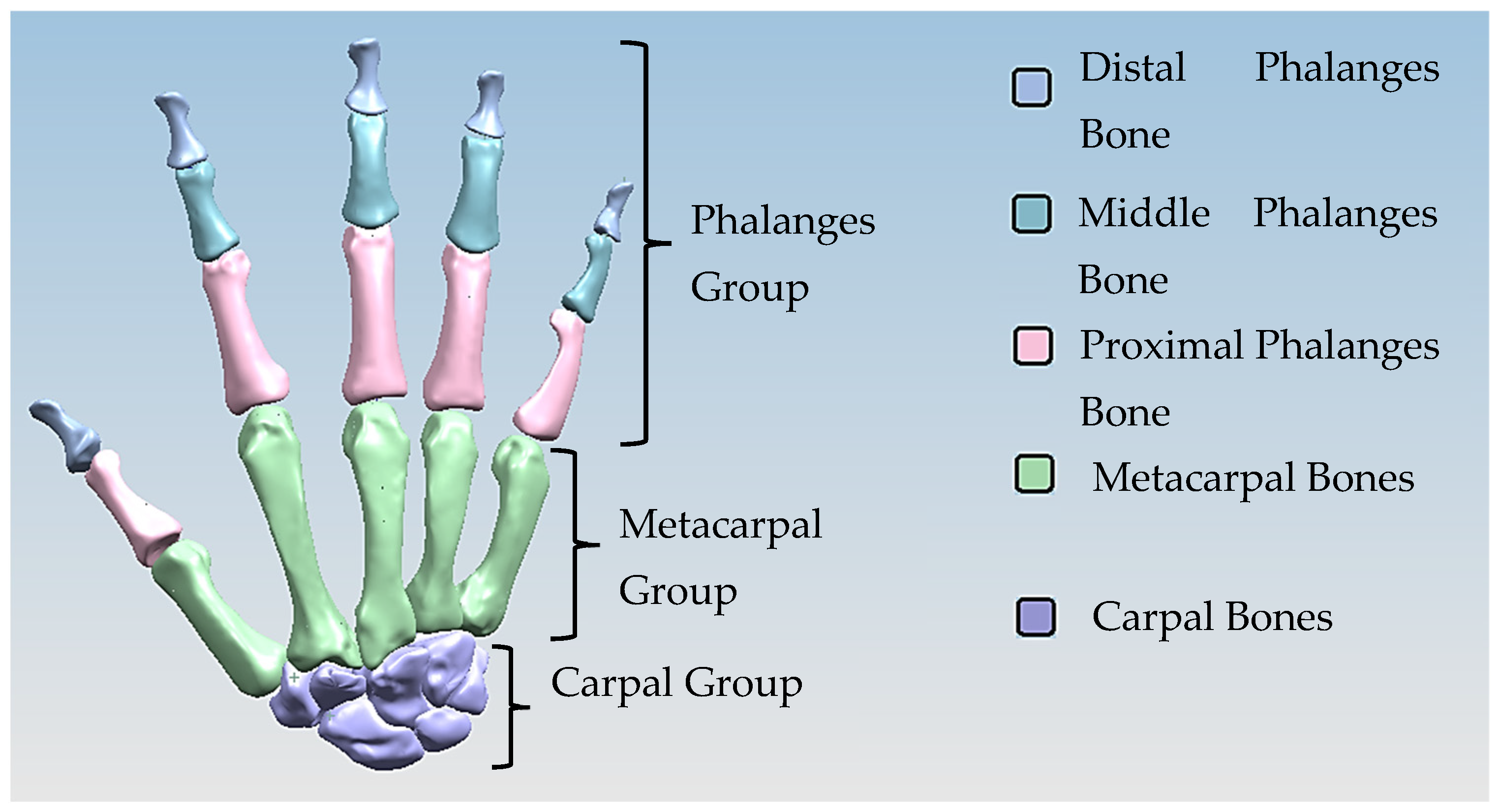 Biomimetics 10 00158 g002