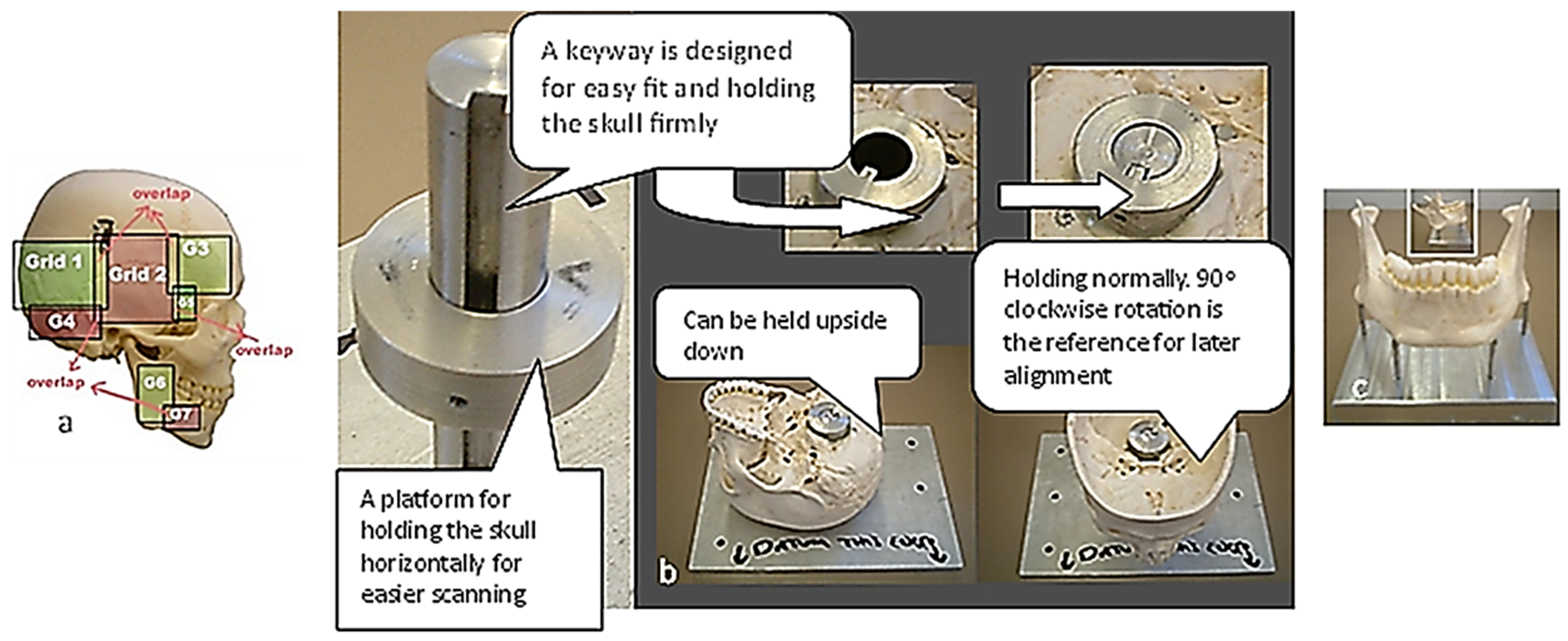 Biomimetics 10 00158 g004