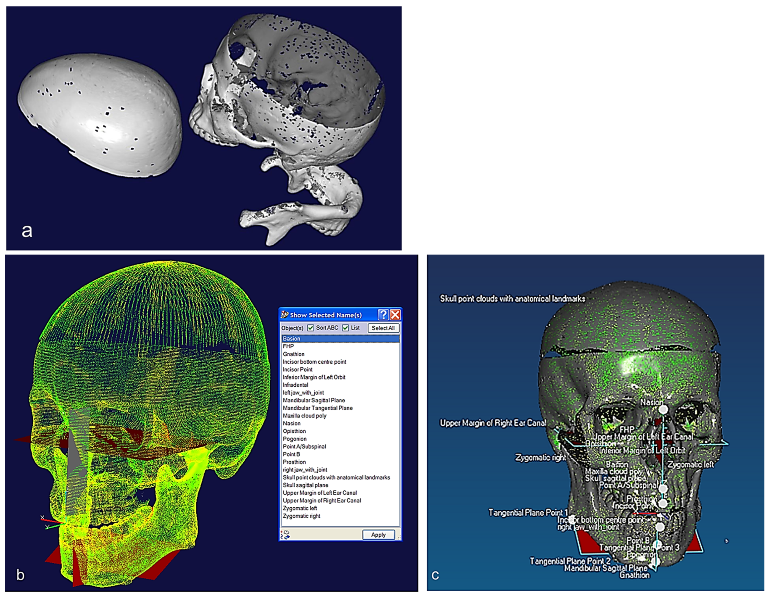 Biomimetics 10 00158 g006