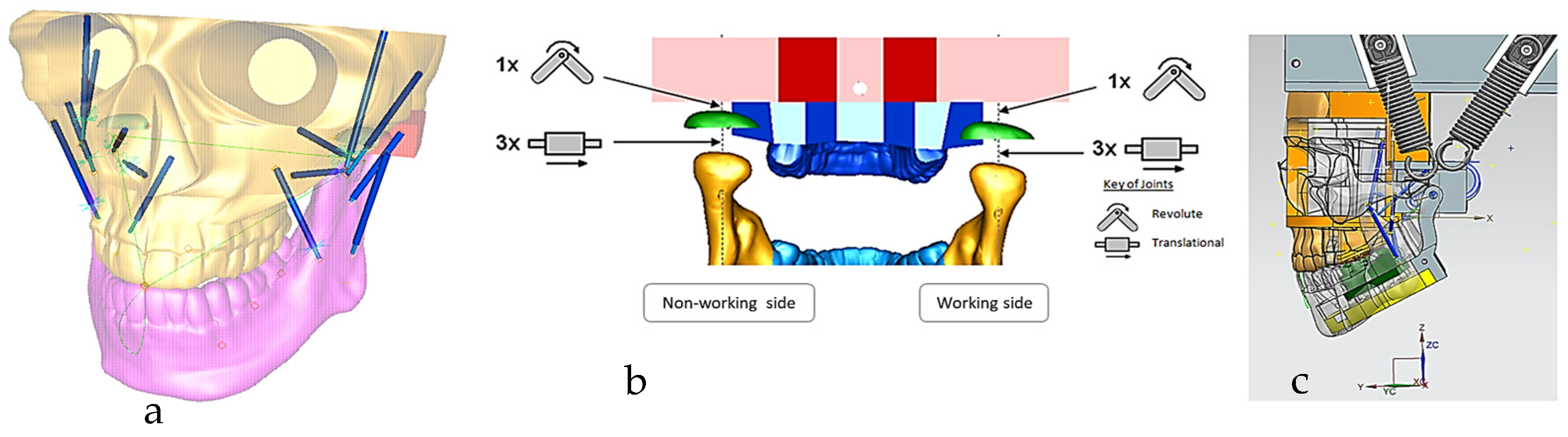 Biomimetics 10 00158 g011