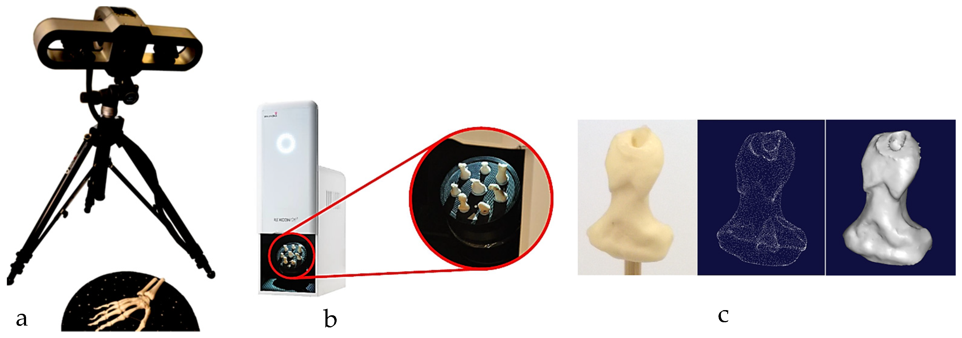 Biomimetics 10 00158 g012