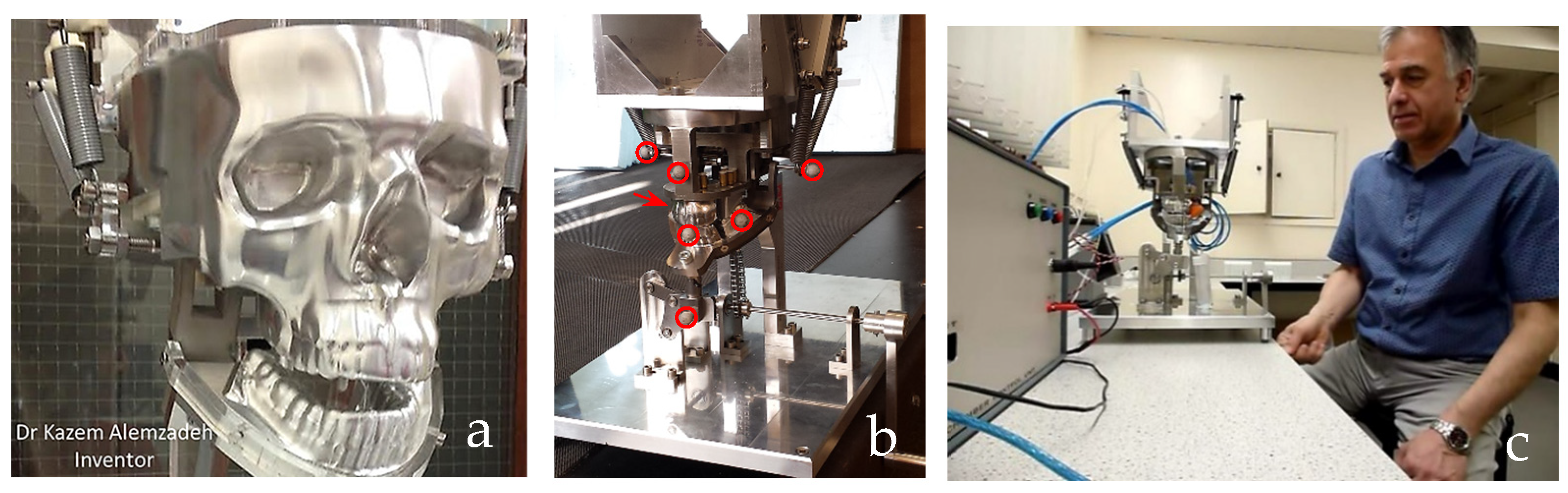 Biomimetics 10 00158 g029