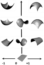 Biomimetics 10 00158 i012