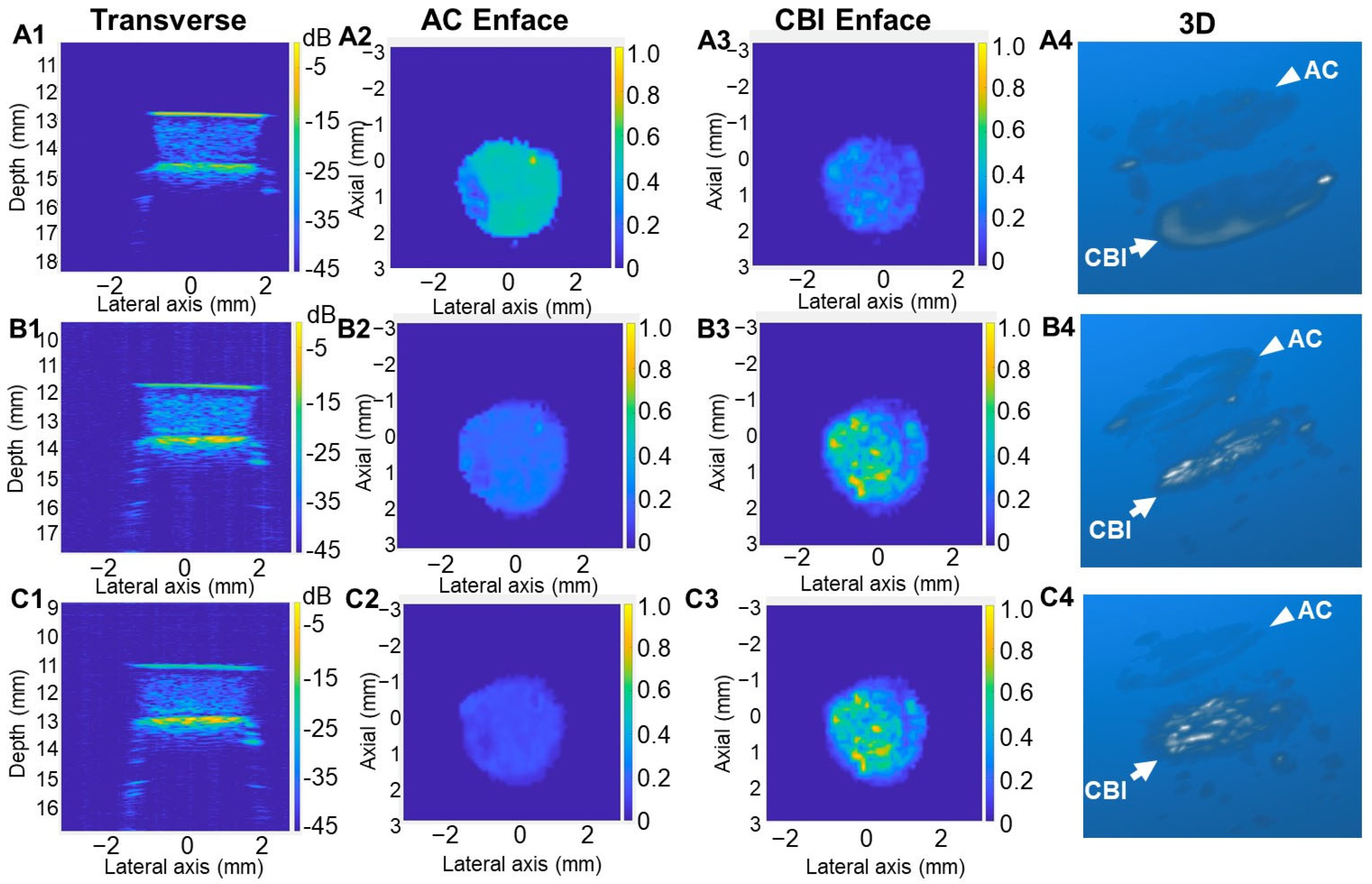 Biomimetics 10 00160 g002 Biomimetics 10 00160 g002