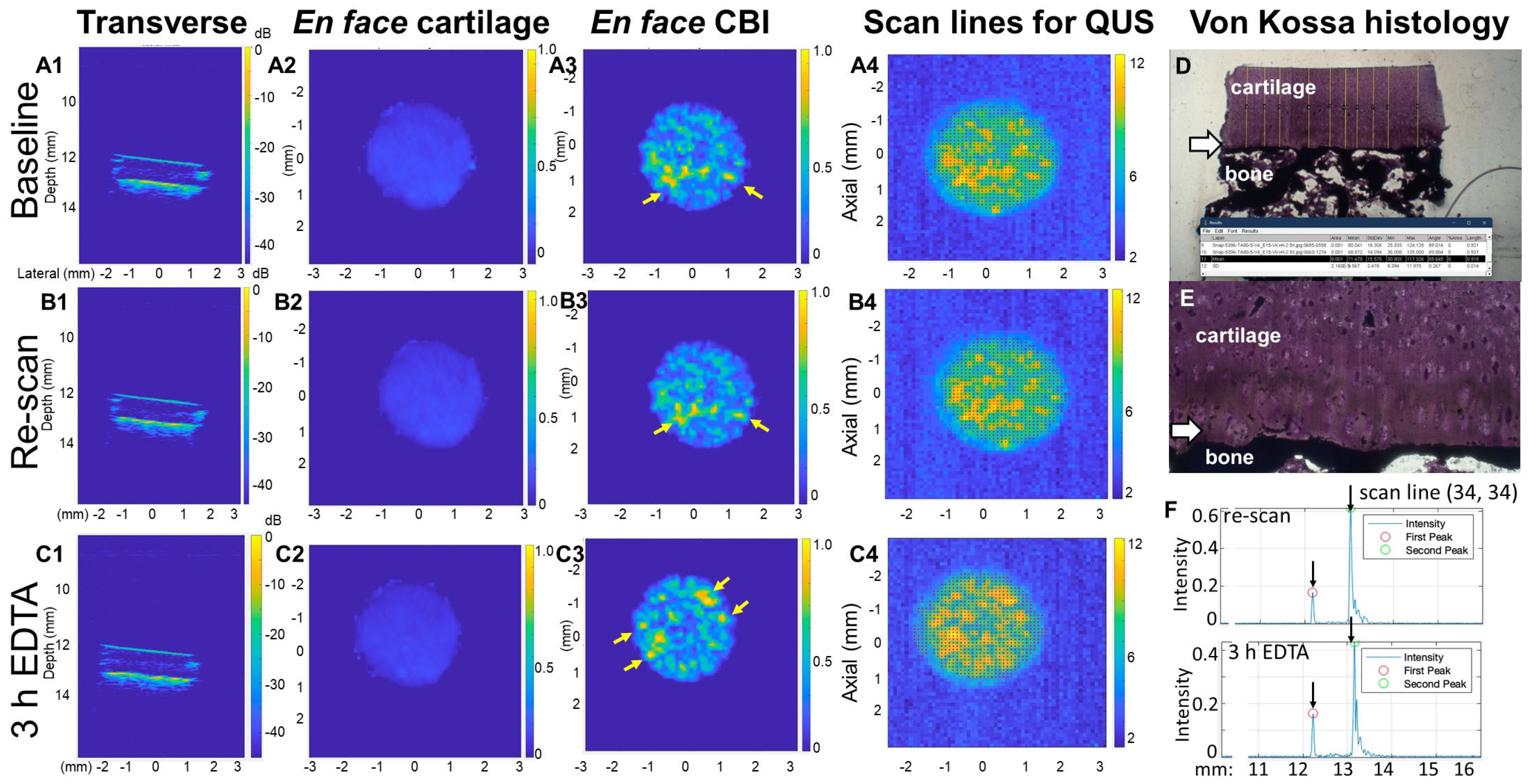 Biomimetics 10 00160 g005 Biomimetics 10 00160 g005