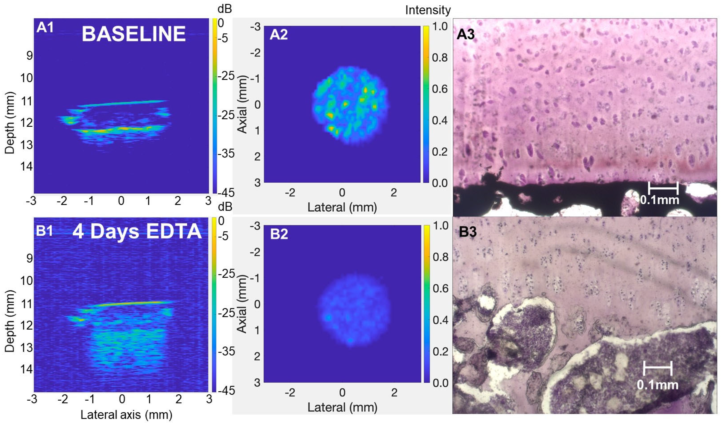 Biomimetics 10 00160 g007 Biomimetics 10 00160 g007