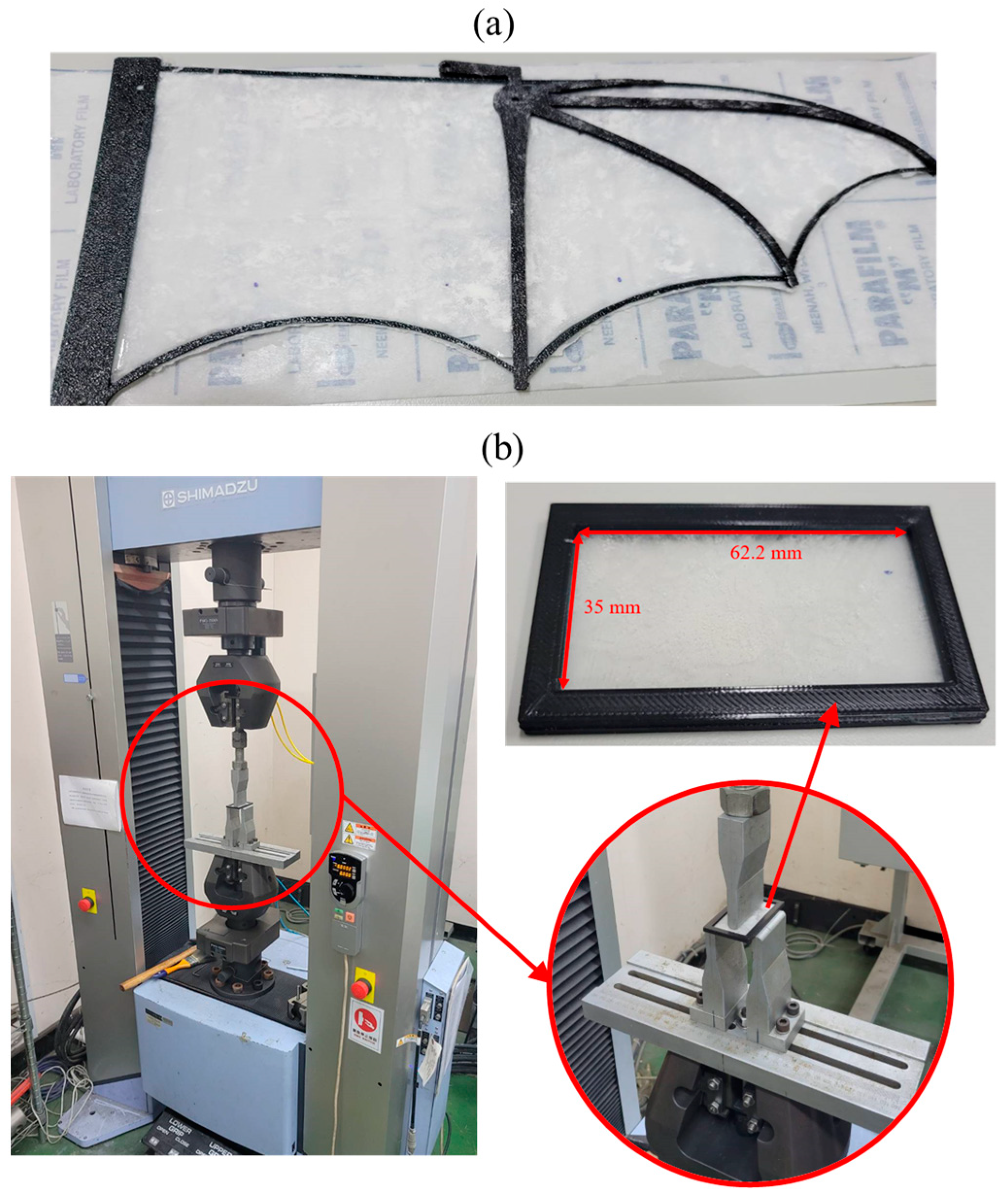 Biomimetics 10 00161 g002