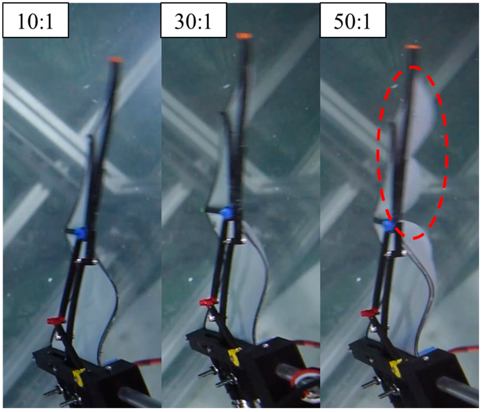 Biomimetics 10 00161 g005