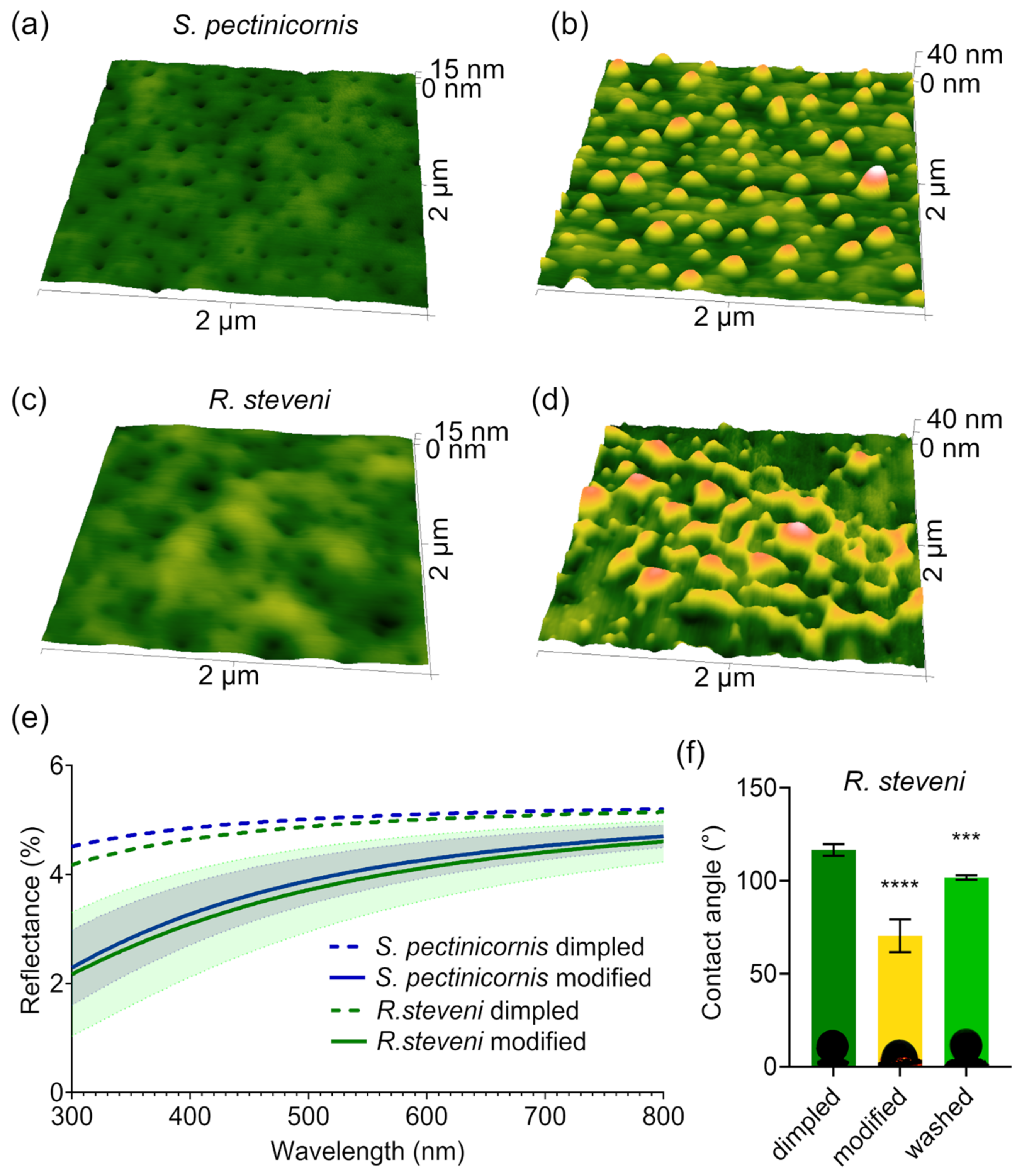 Biomimetics 10 00163 g001