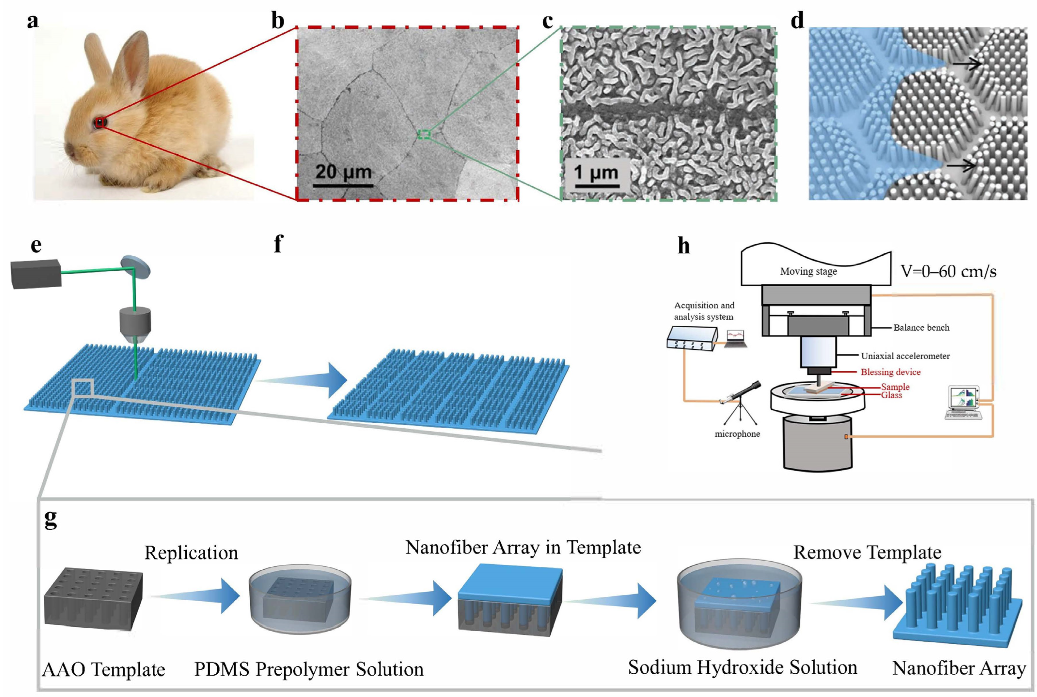Biomimetics 10 00164 g001
