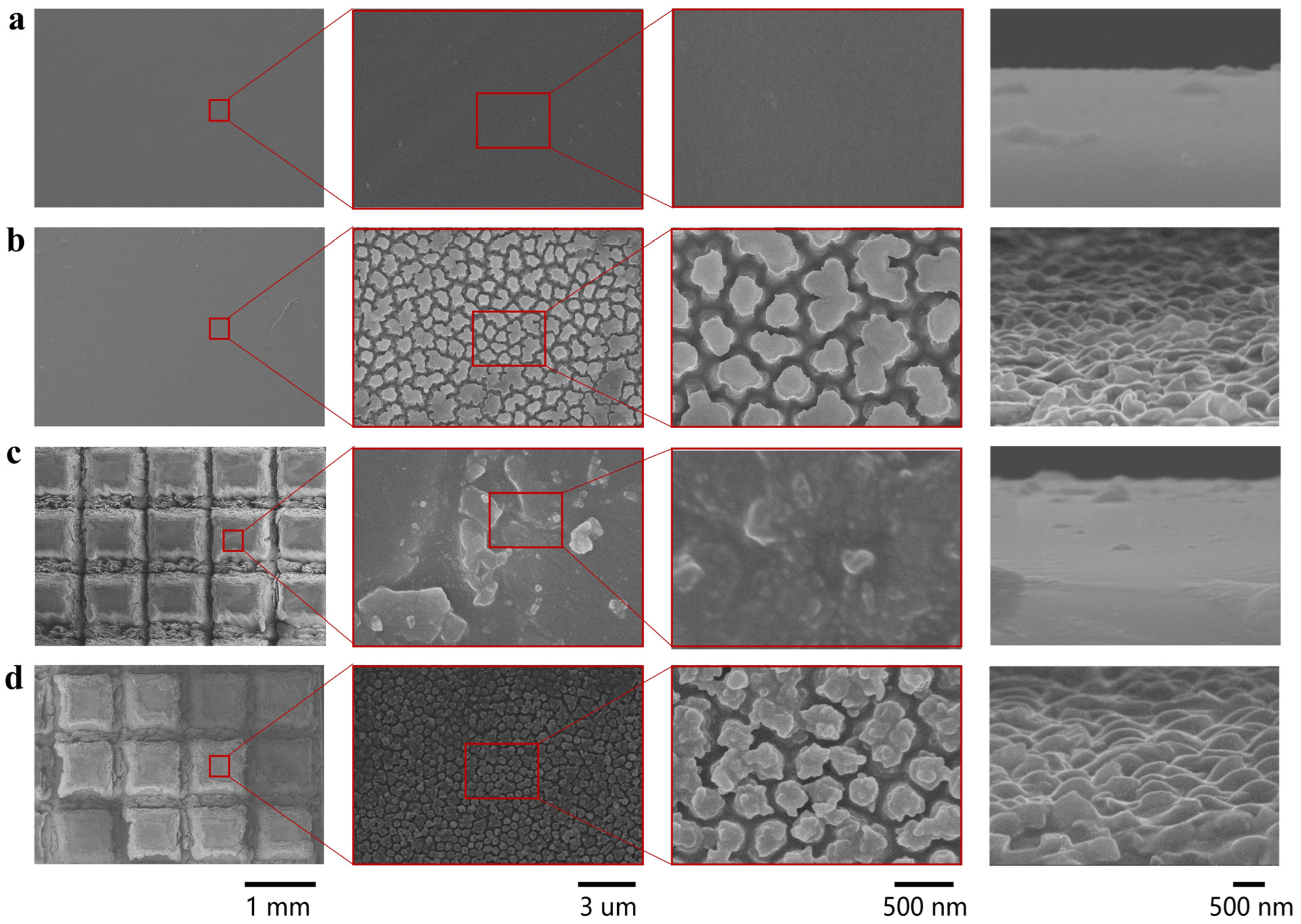 Biomimetics 10 00164 g002
