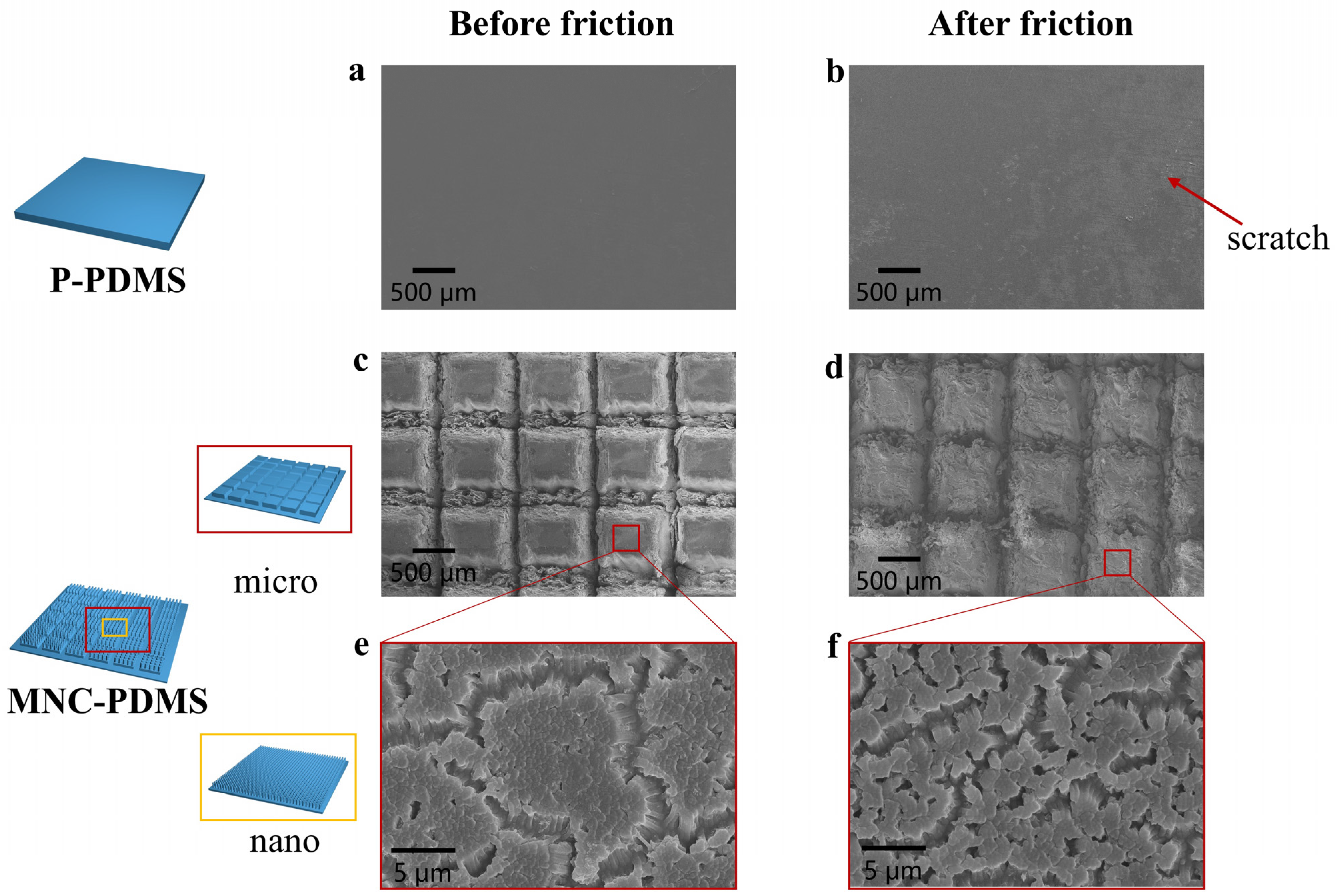 Biomimetics 10 00164 g005